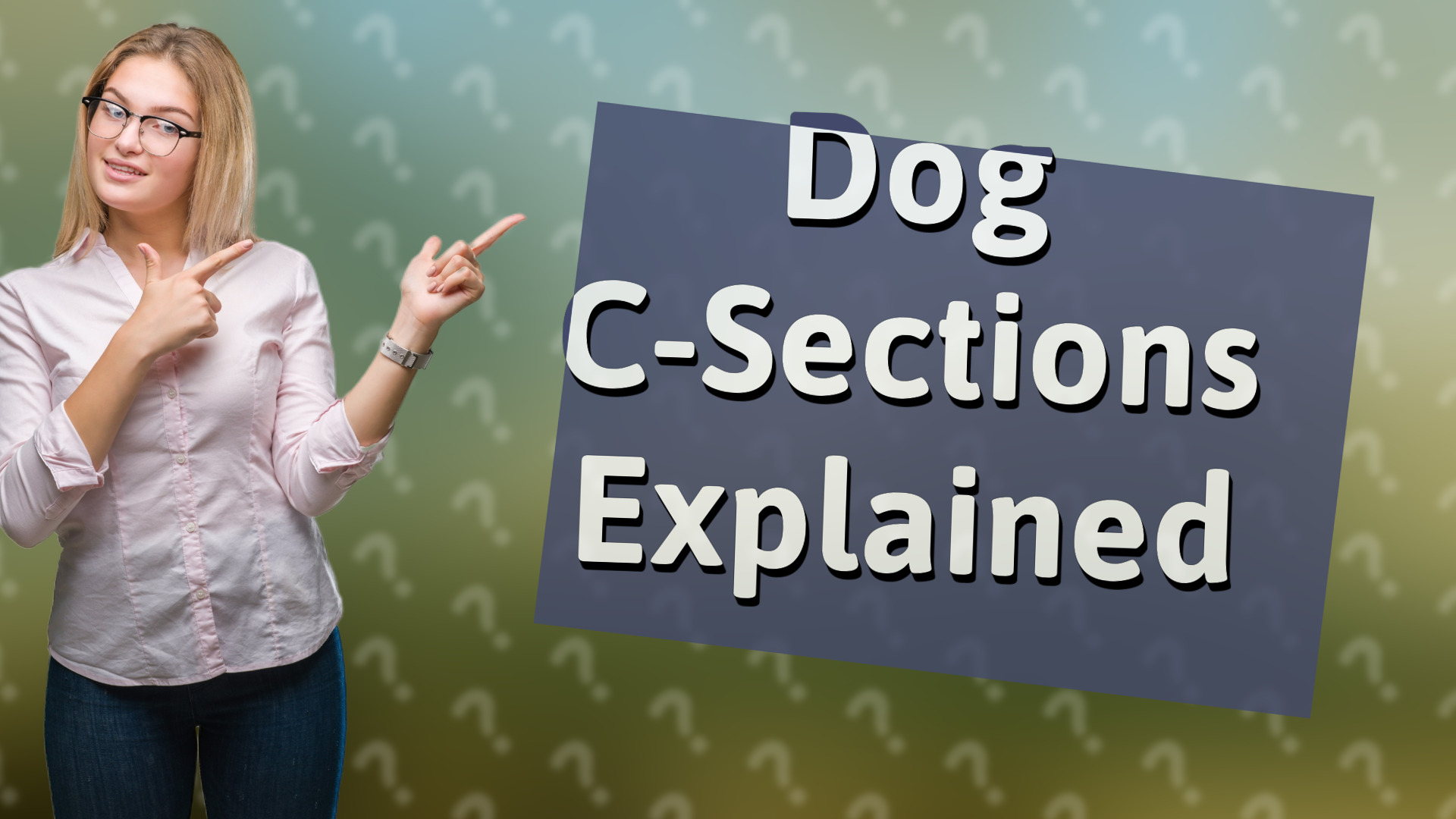 Dog C-Sections Explained
