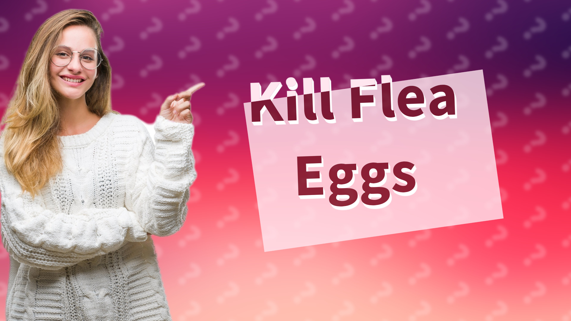 Kill Flea Eggs