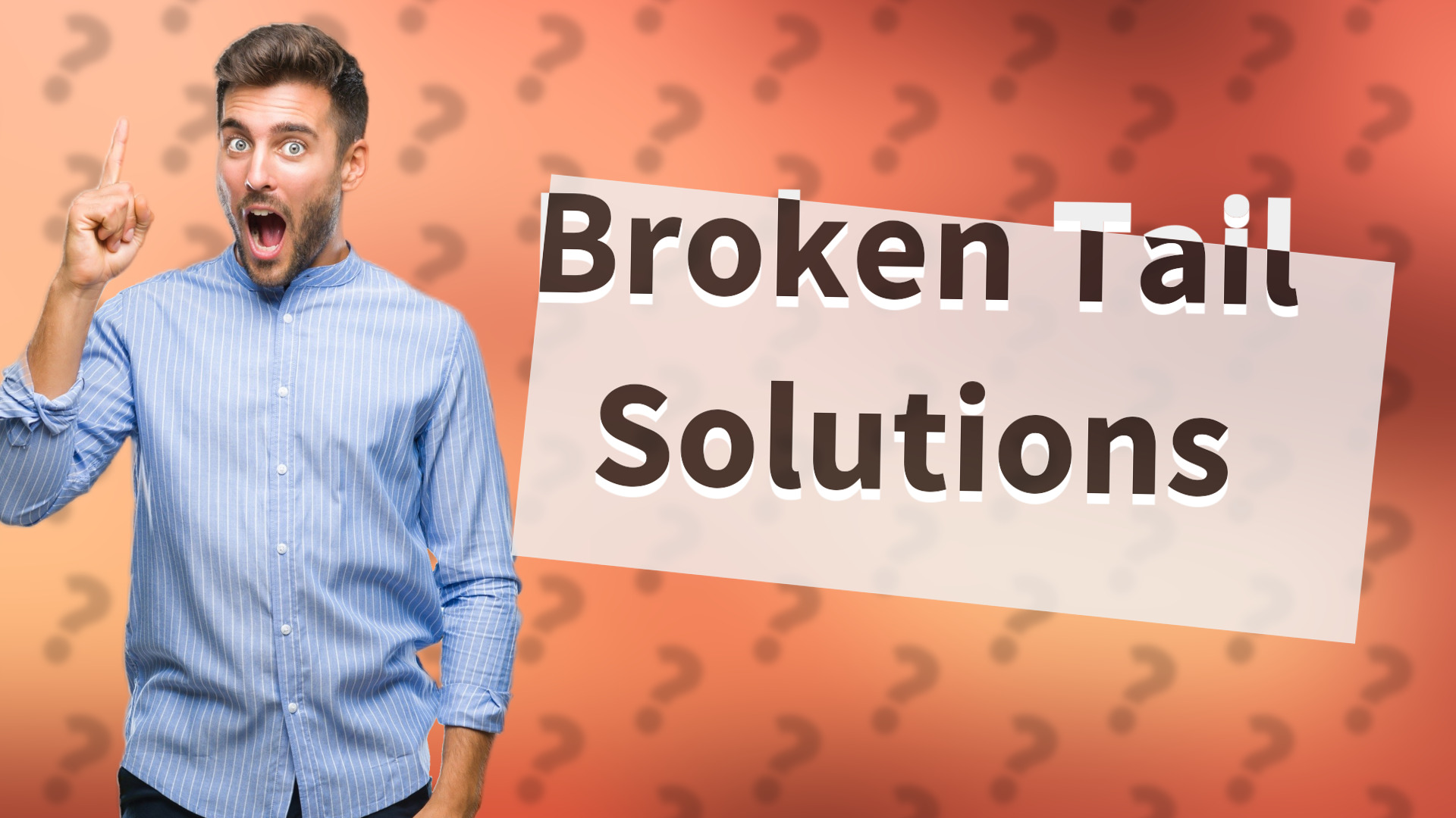 Broken Tail Solutions