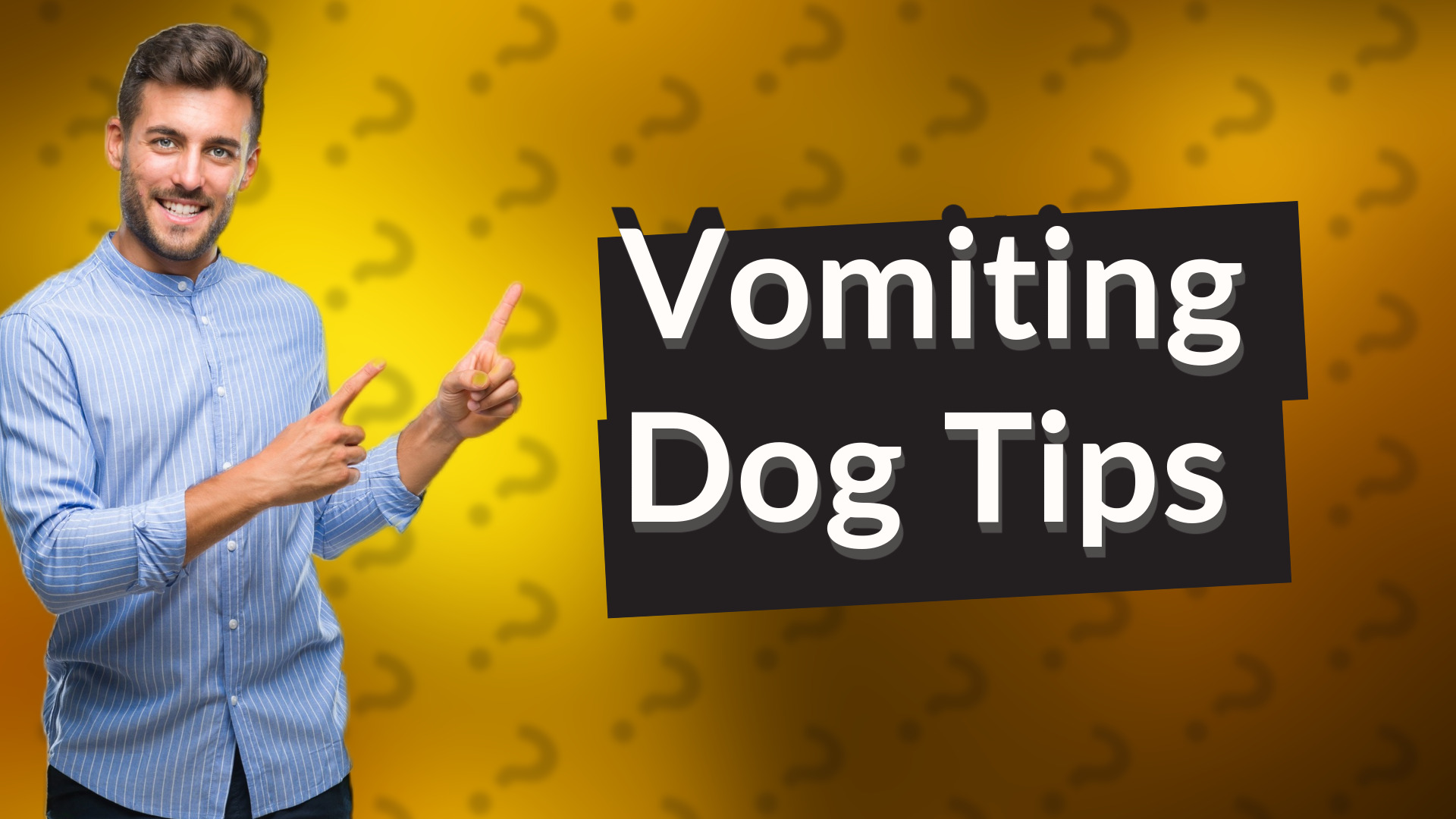 Vomiting Dog Tips