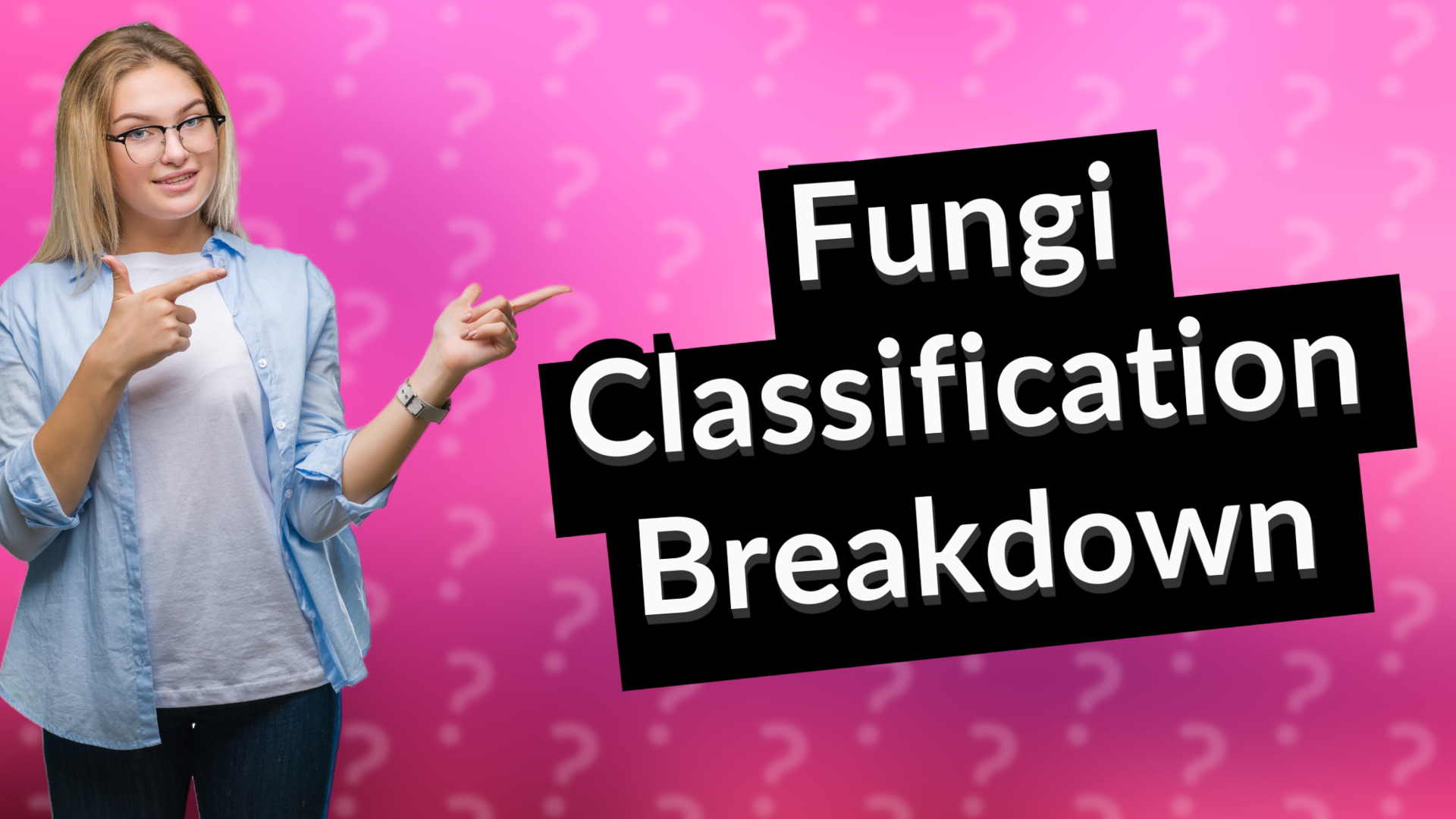 Fungi Classification Breakdown