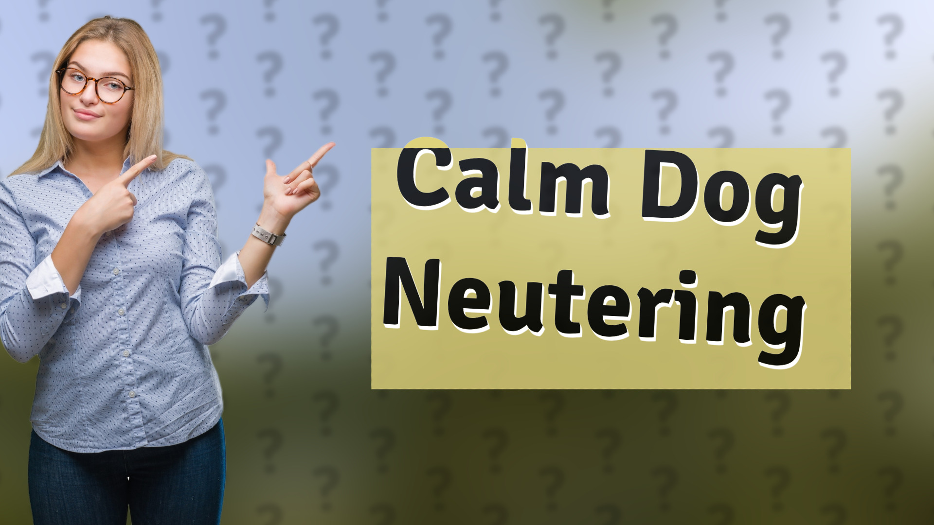 Calm Dog Neutering