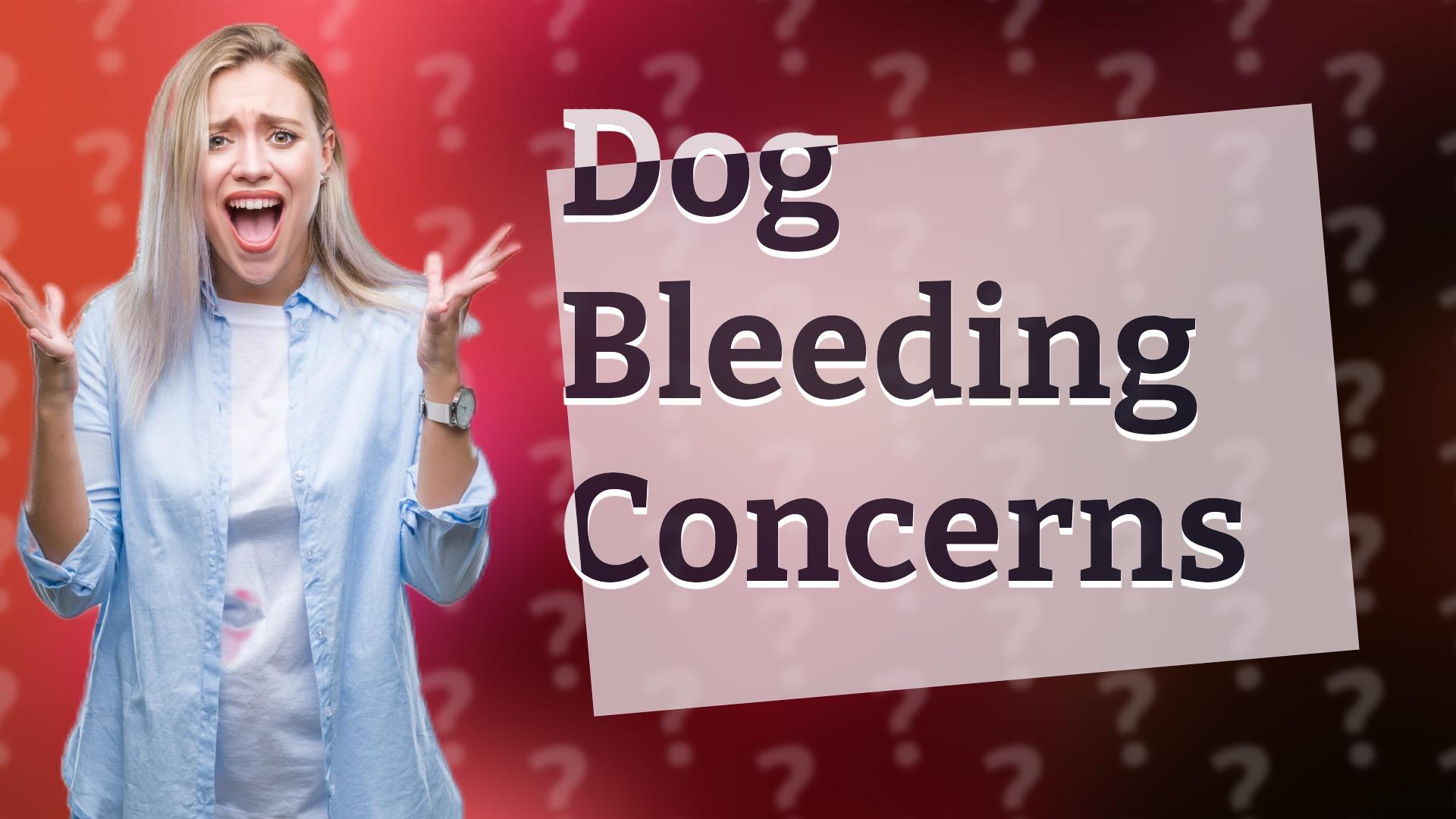 Dog Bleeding Concerns
