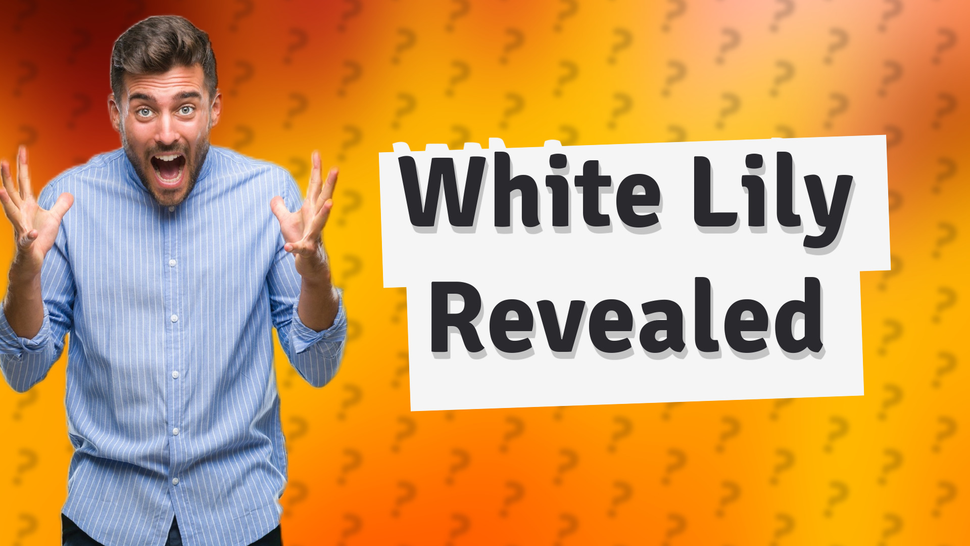 White Lily Revealed
