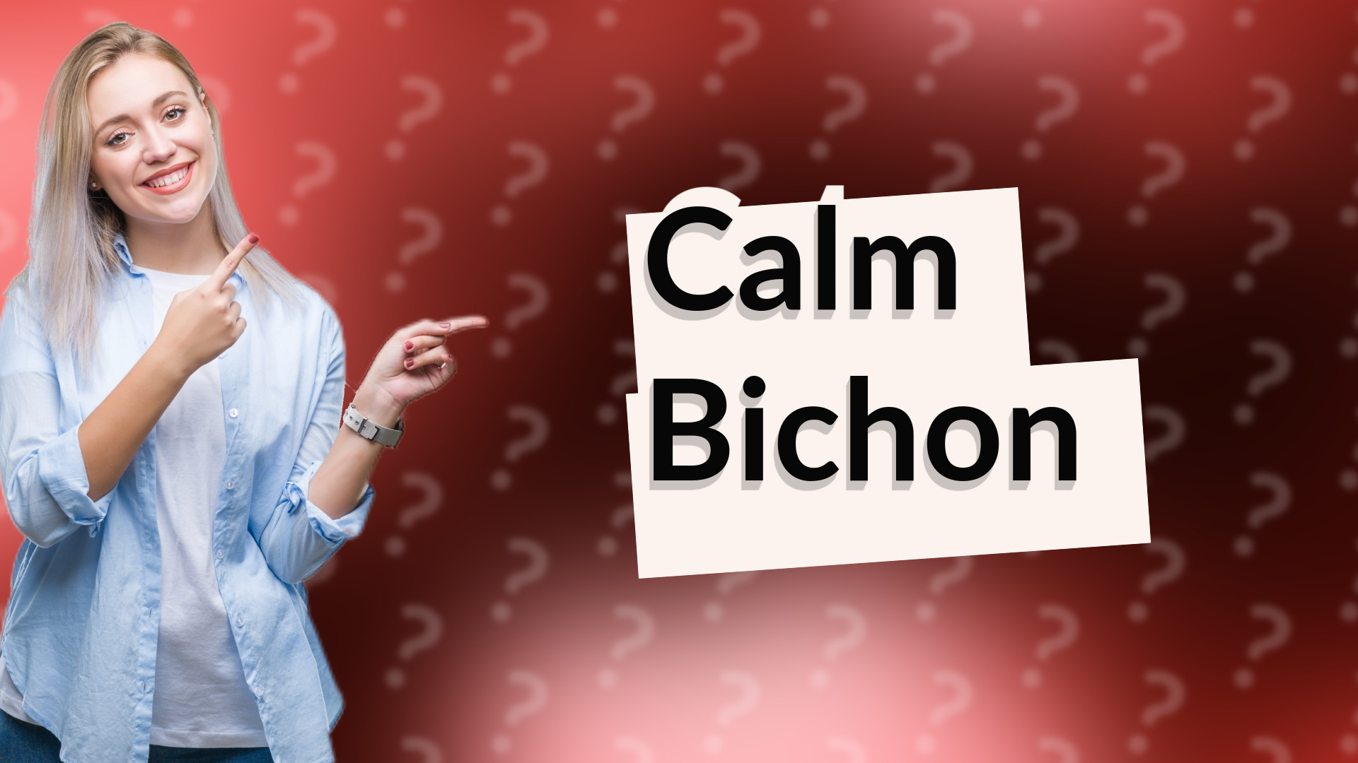 Calm Bichon