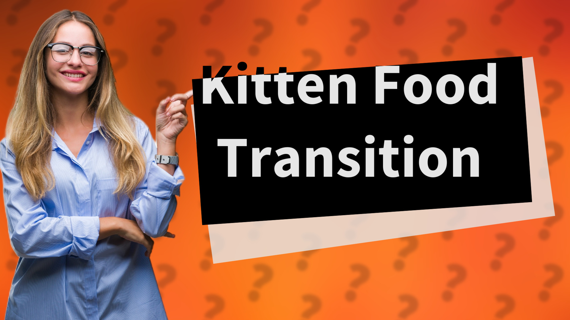 Kitten Food Transition