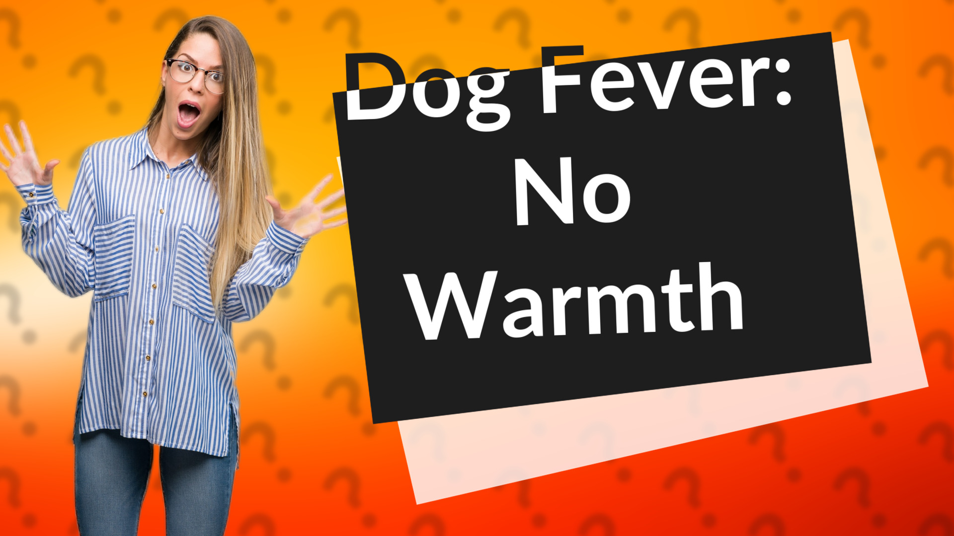Dog Fever: No Warmth