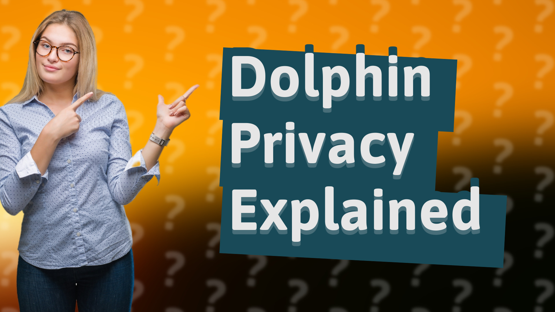 Dolphin Privacy Explained