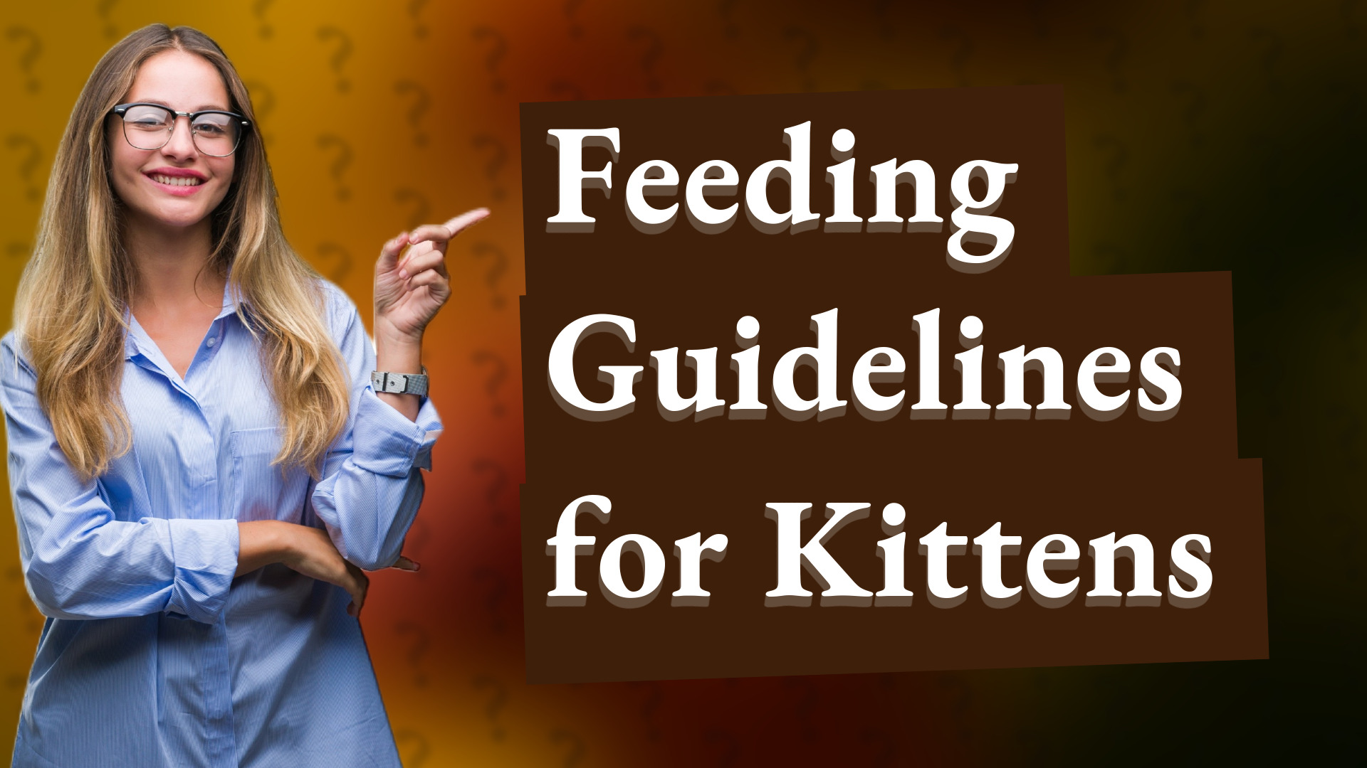 Feeding Guidelines for Kittens