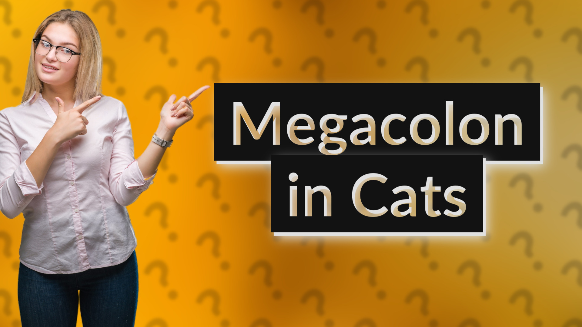 Megacolon in Cats
