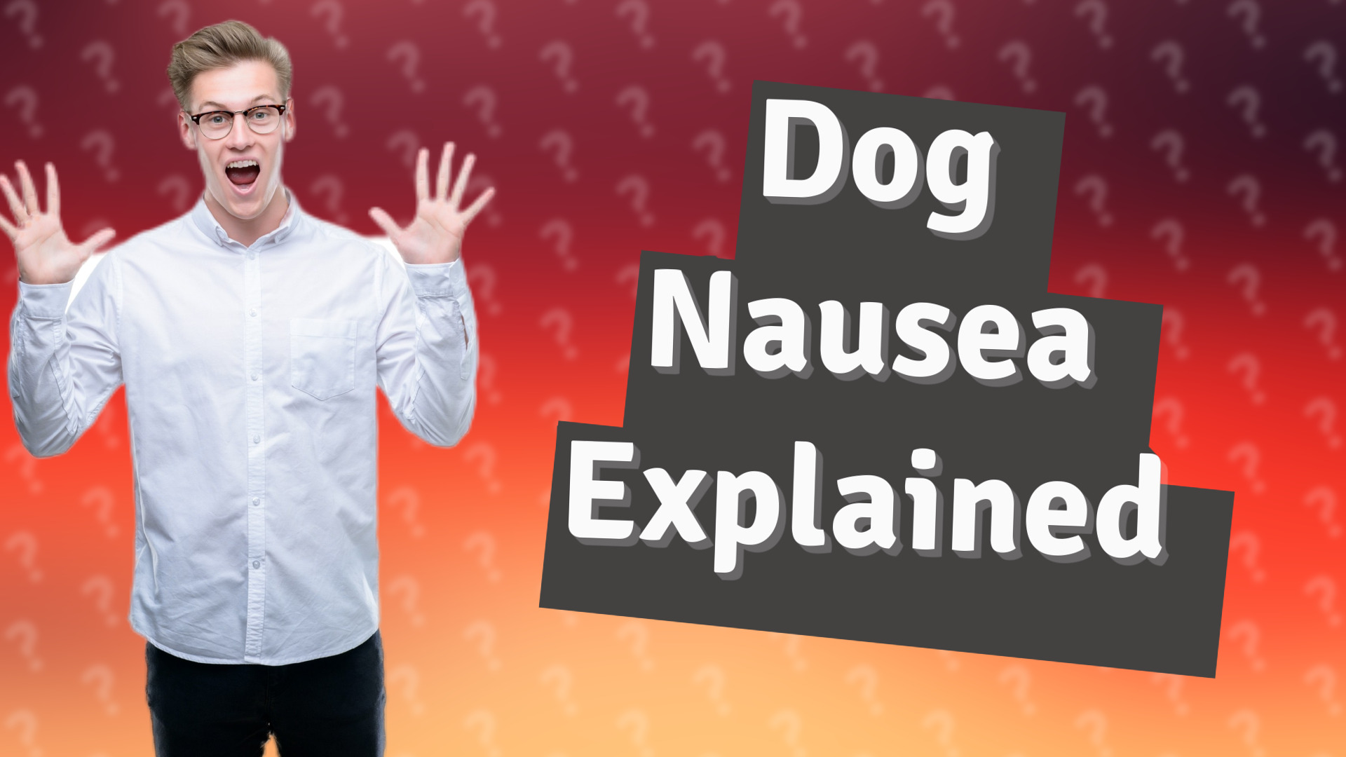 Dog Nausea Explained