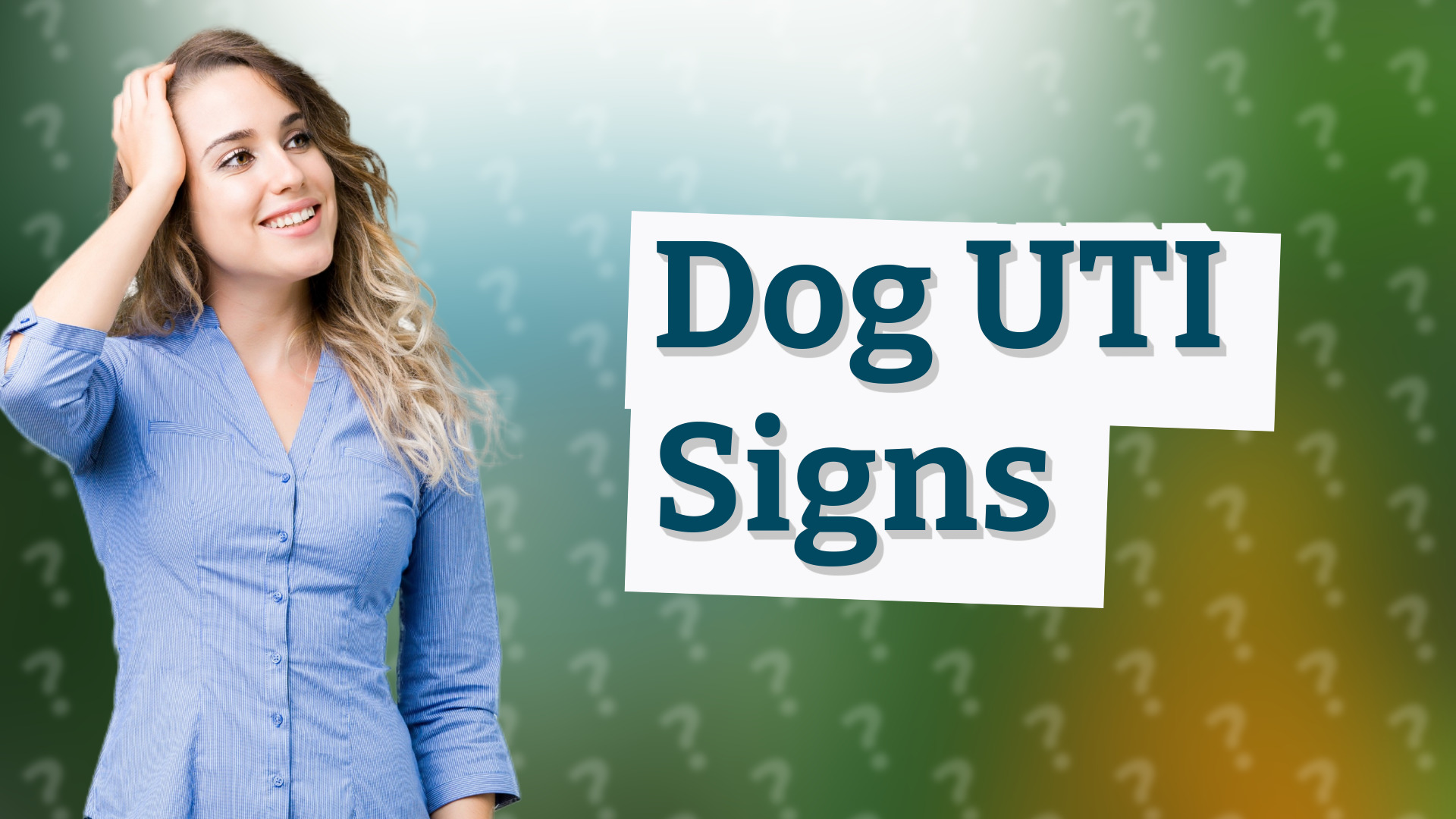 Dog UTI Signs