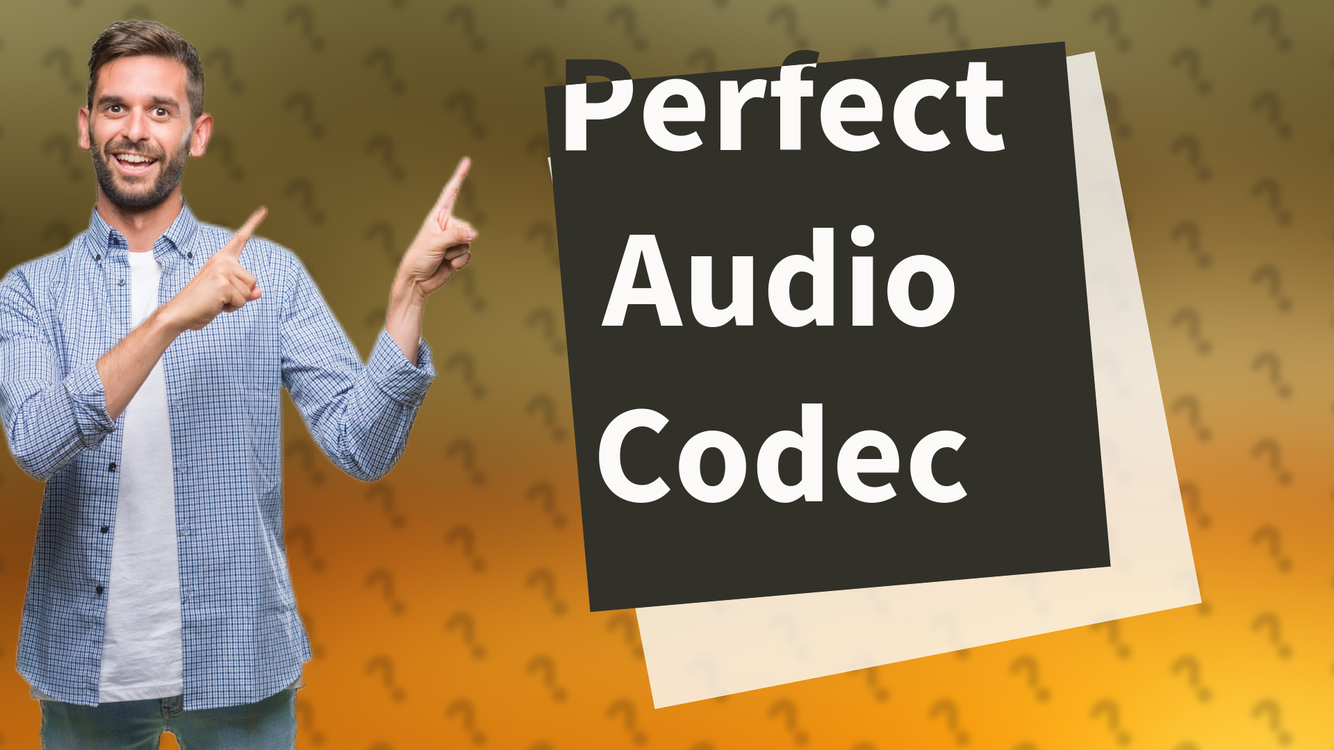 Perfect Audio Codec