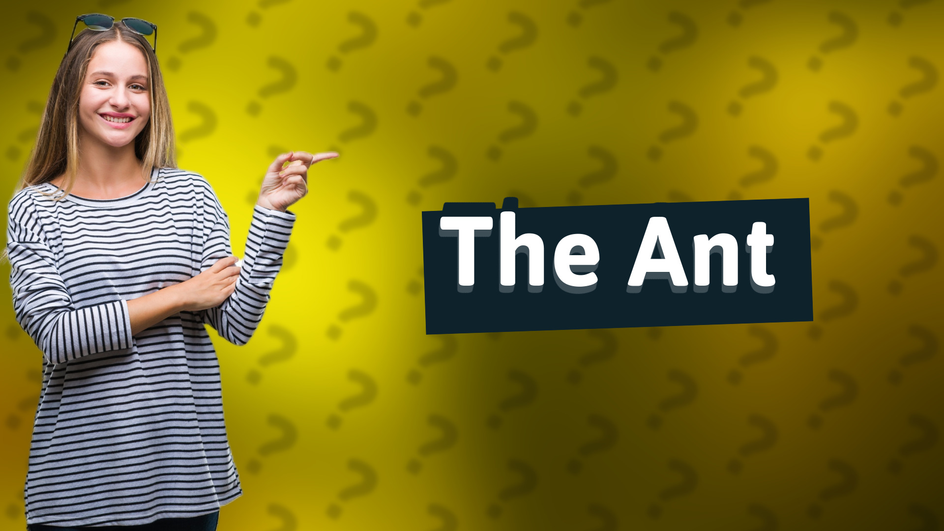 The Ant