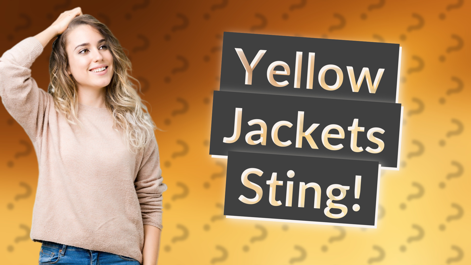 Yellow Jackets Sting!