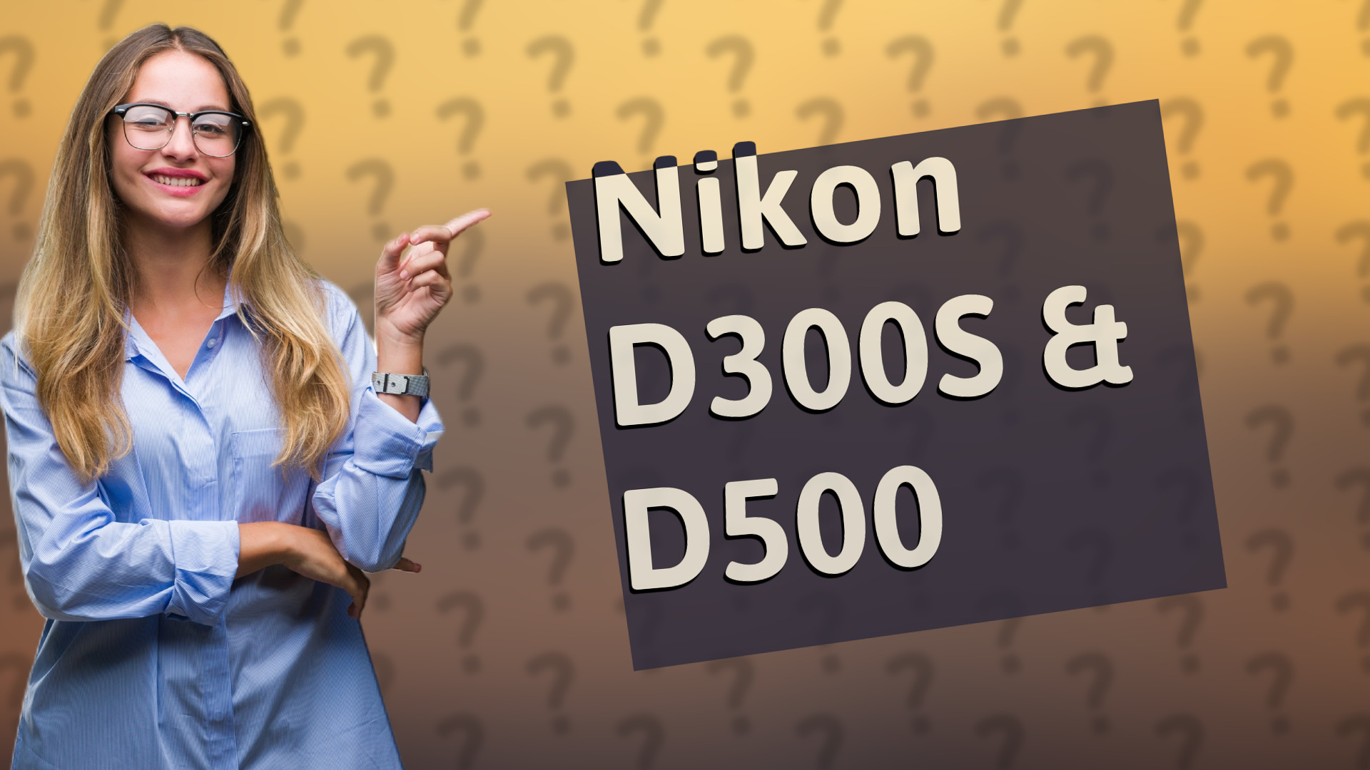 Nikon D300S & D500