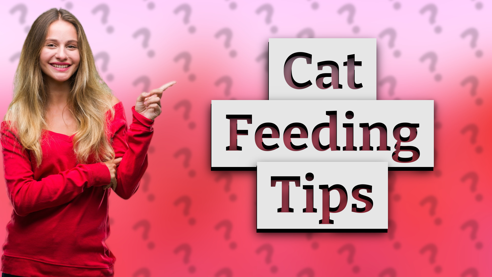 Cat Feeding Tips