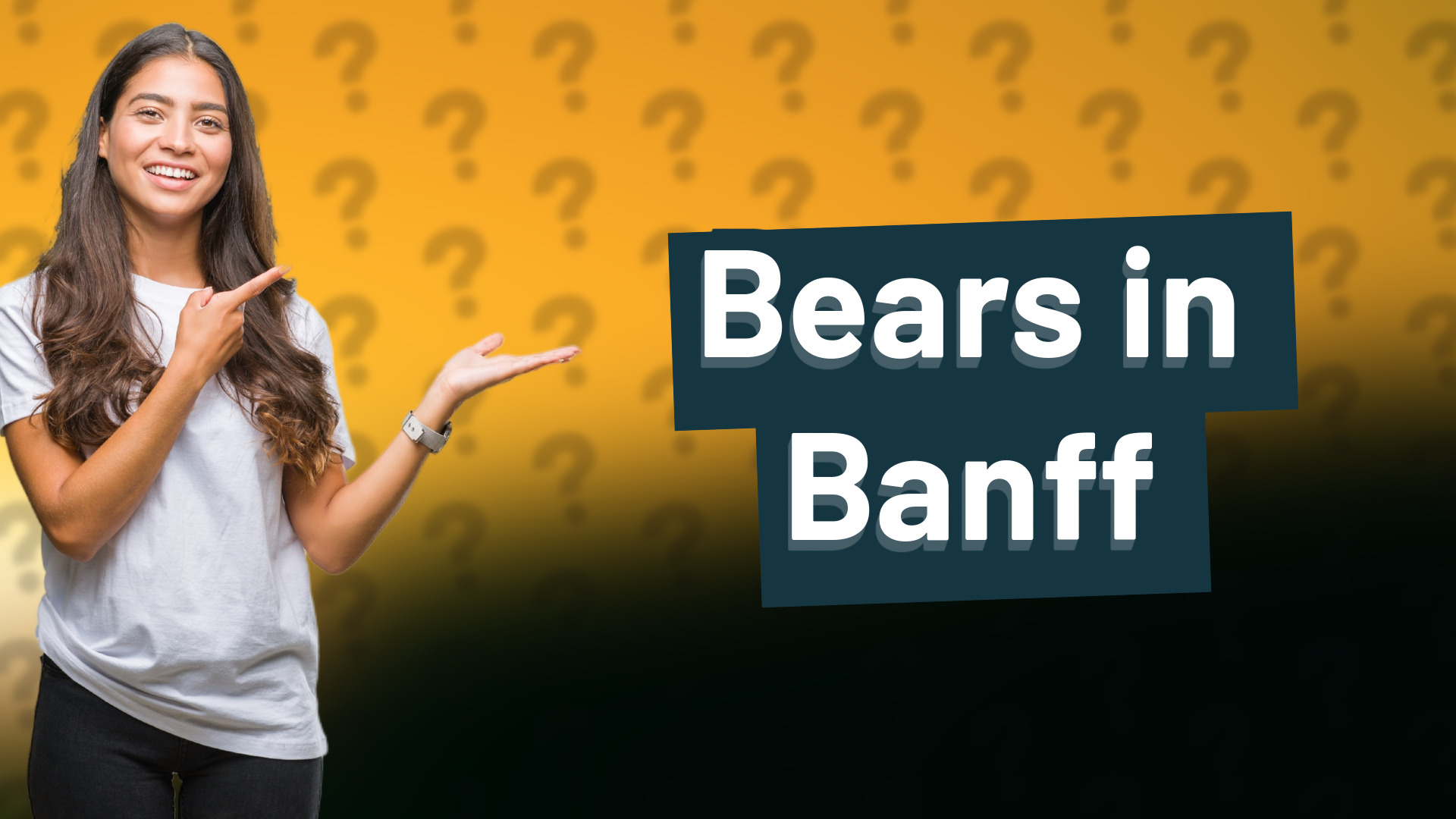 Bears in Banff