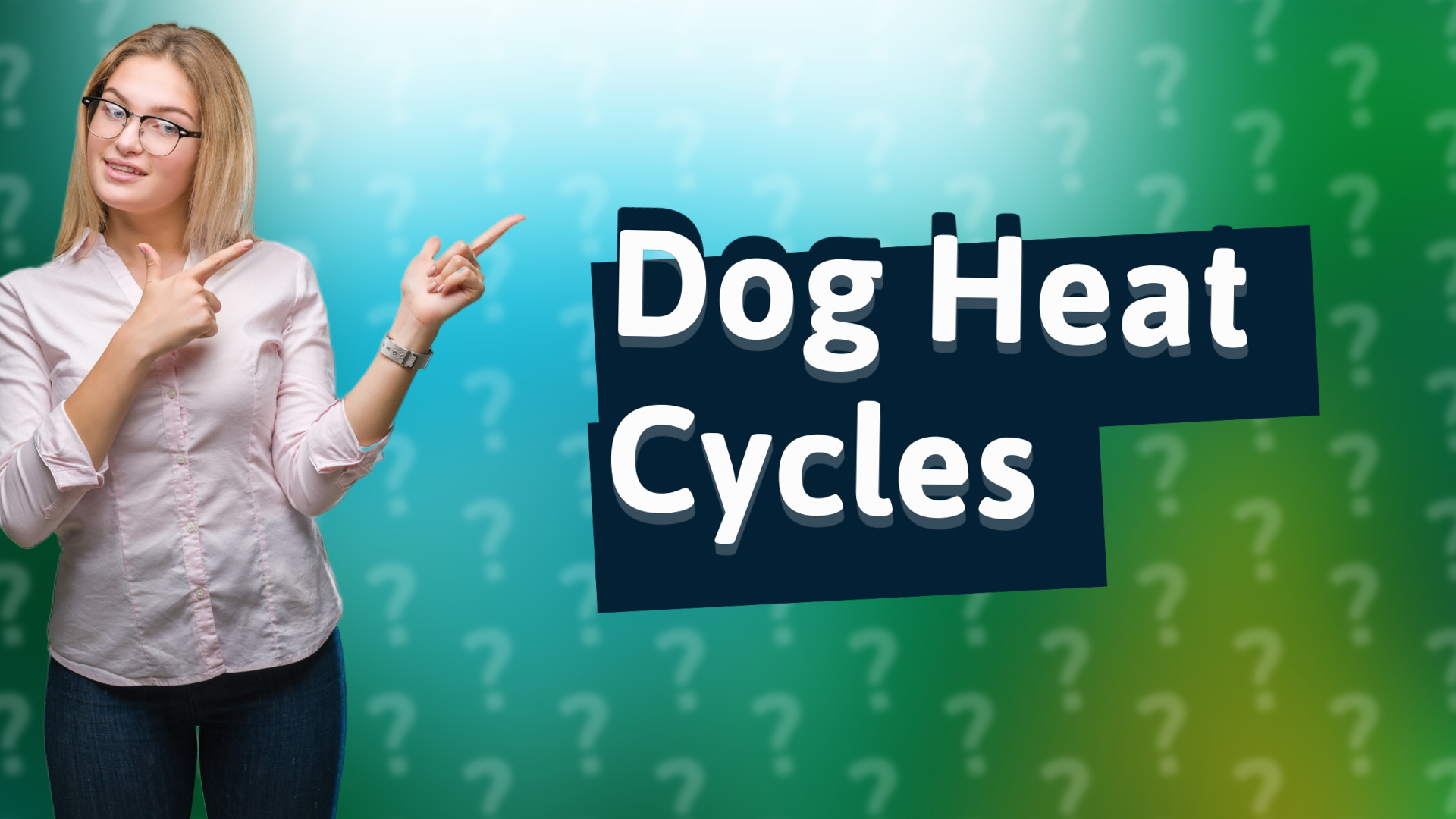 Dog Heat Cycles