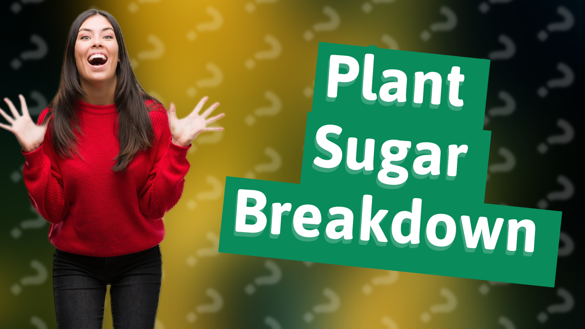 Plant Sugar Breakdown