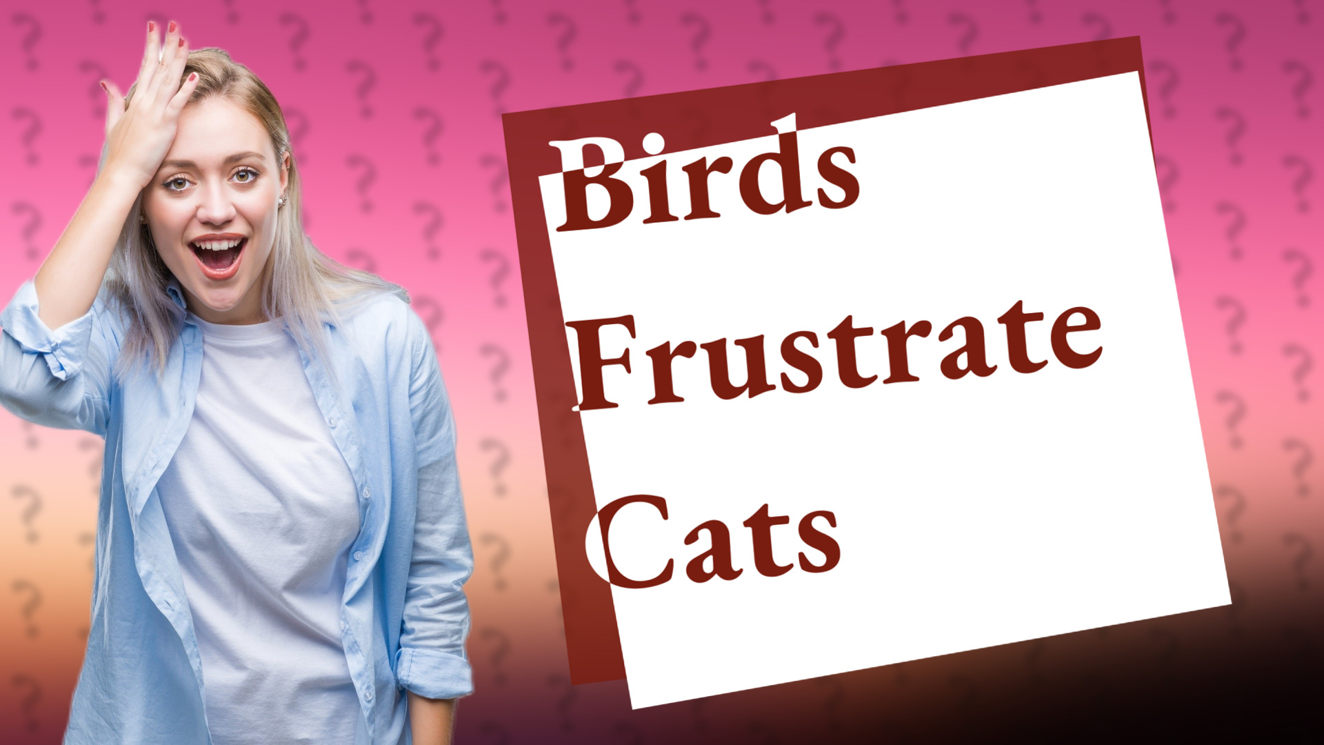 Birds Frustrate Cats