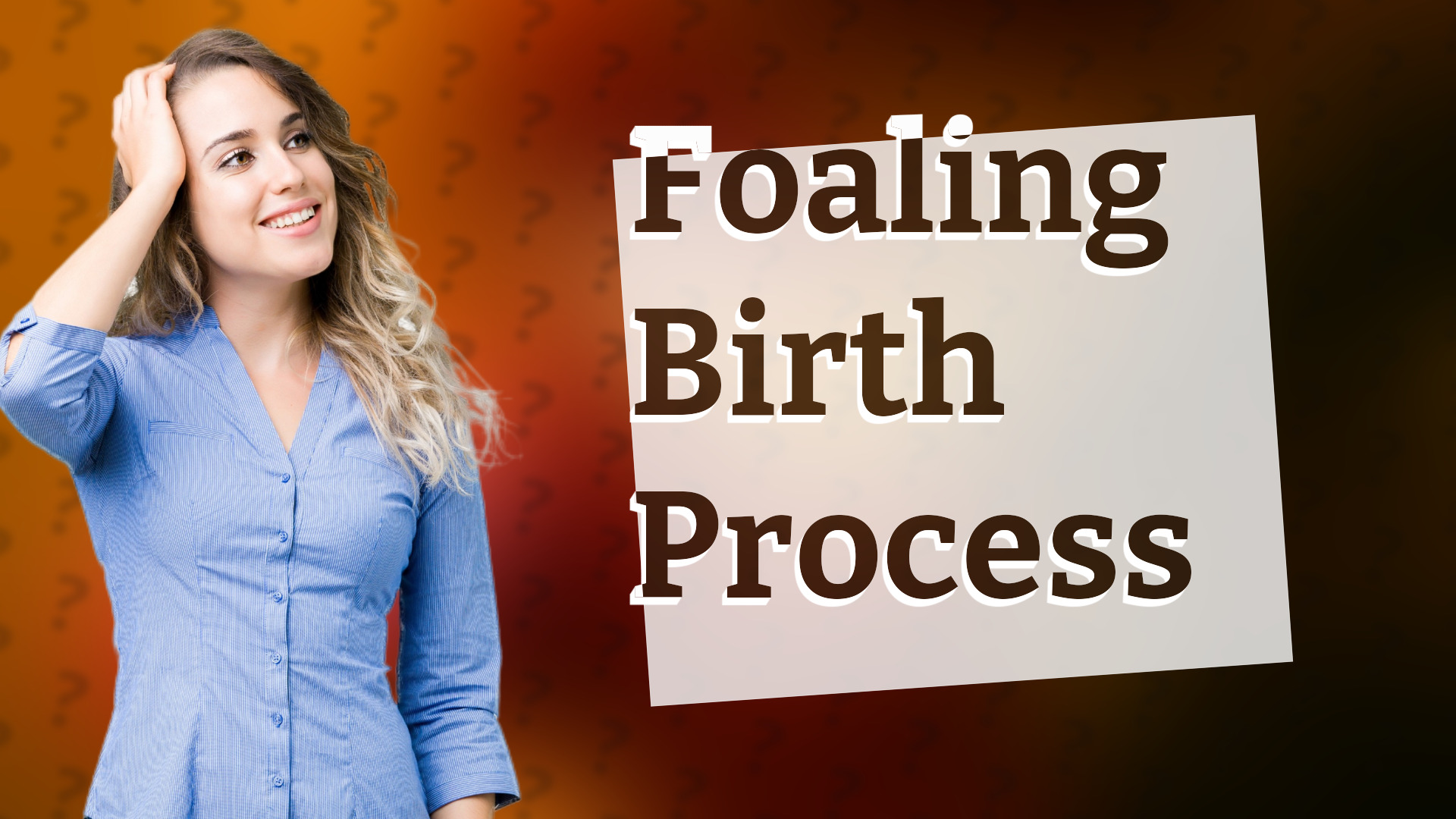 Foaling Birth Process
