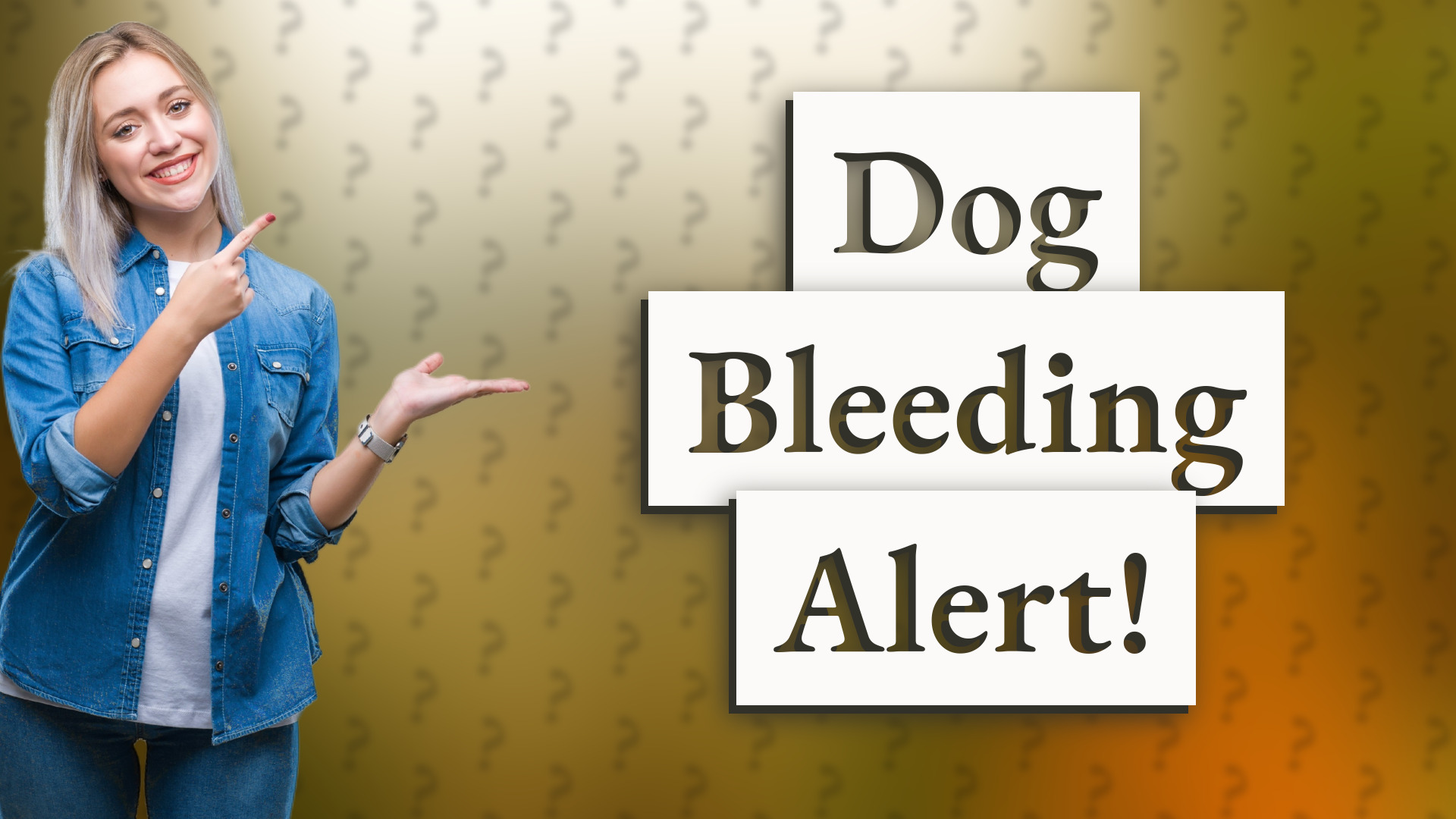 Dog Bleeding Alert!