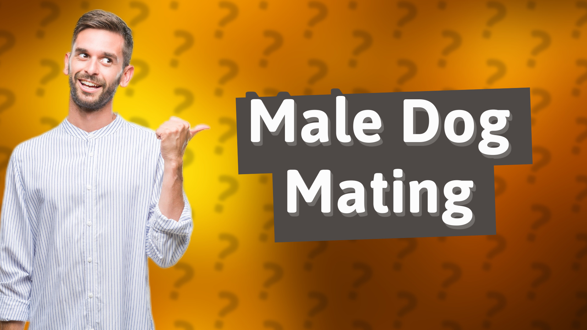 Male Dog Mating