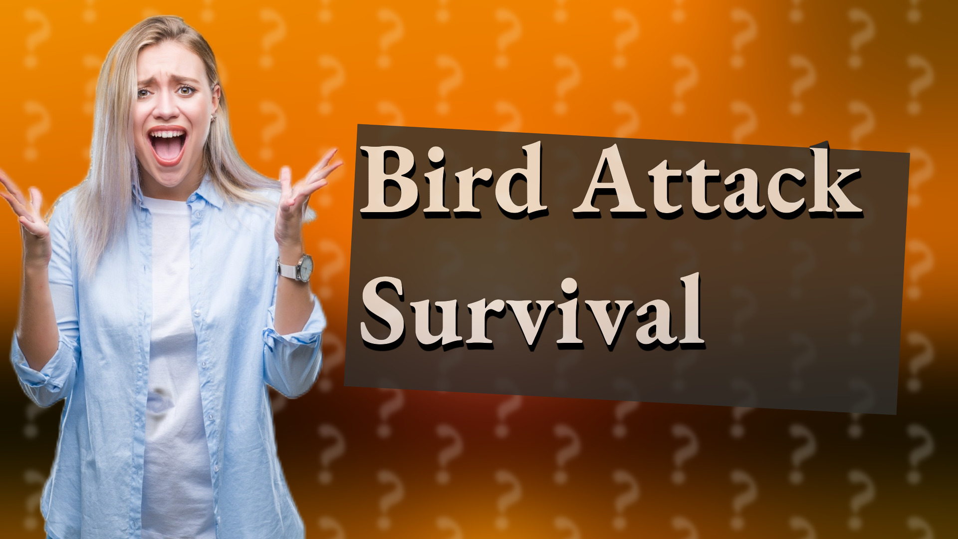 Bird Attack Survival