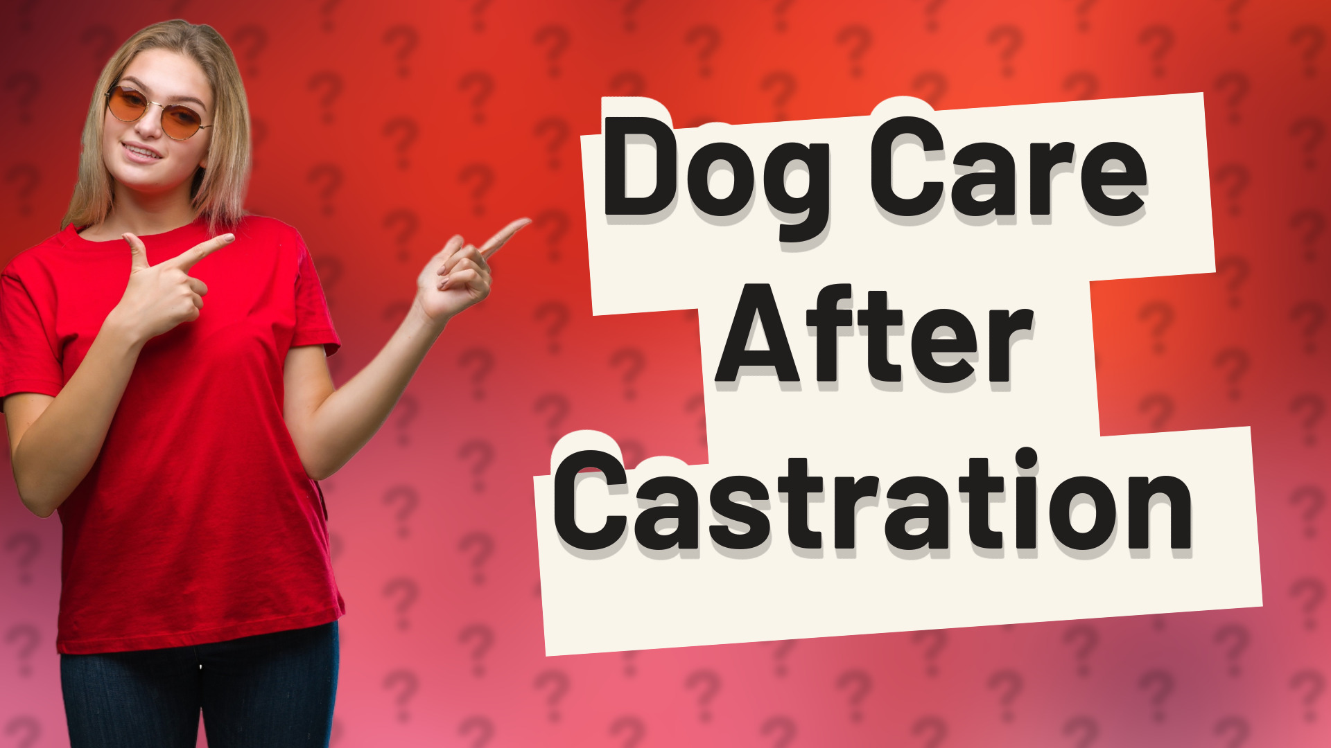 Dog Care After Castration