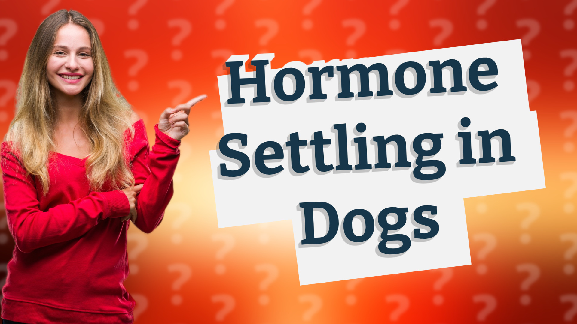 Hormone Settling in Dogs