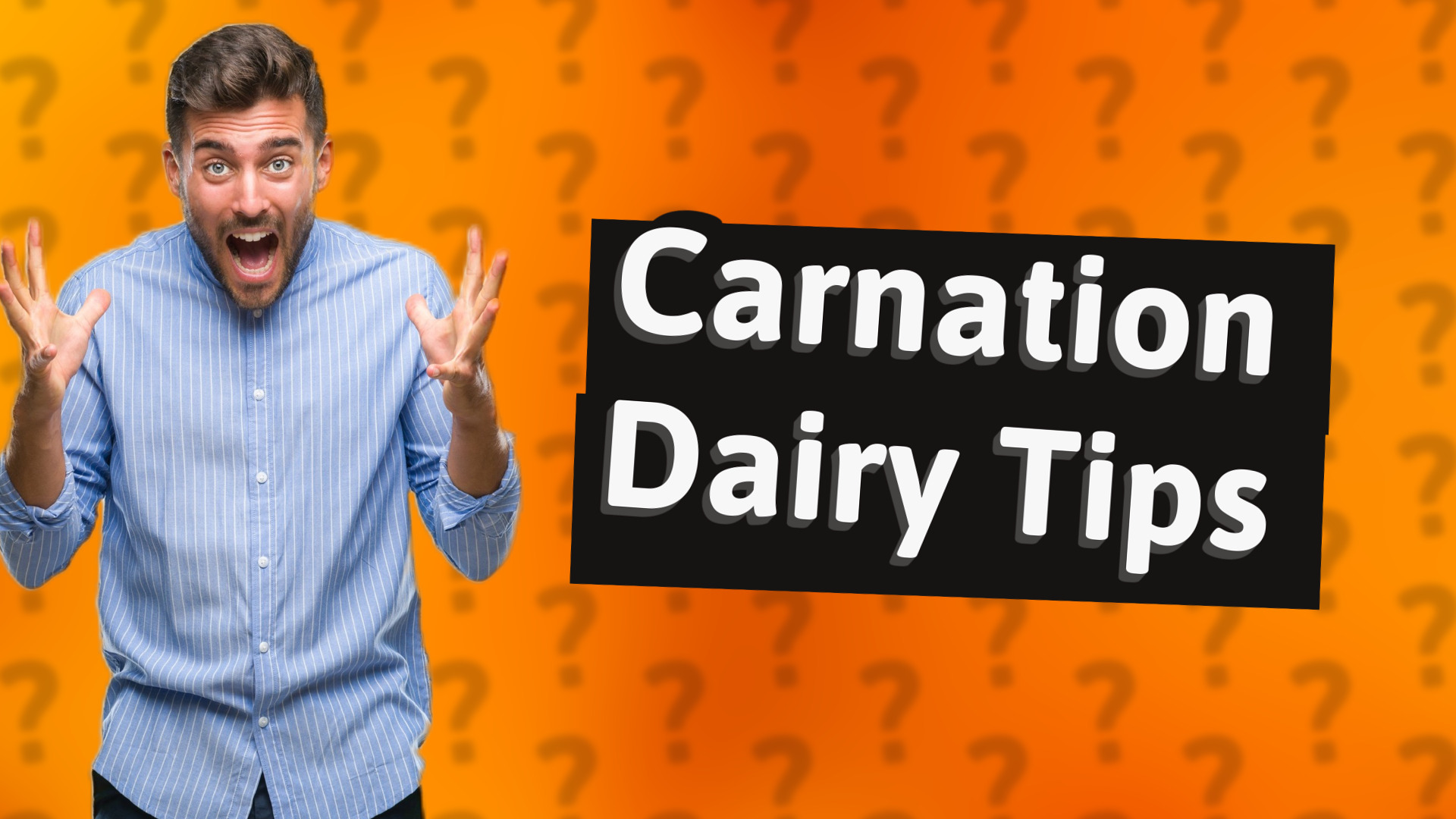 Carnation Dairy Tips