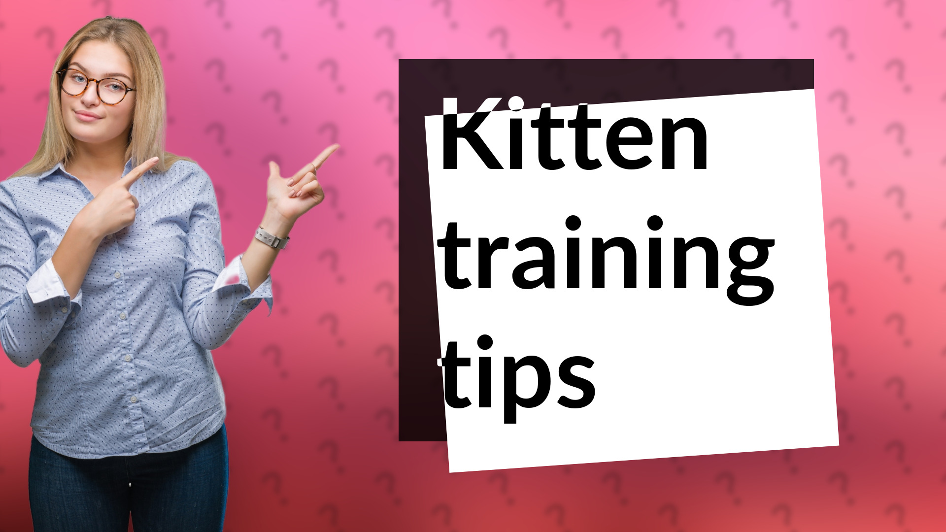 Kitten training tips