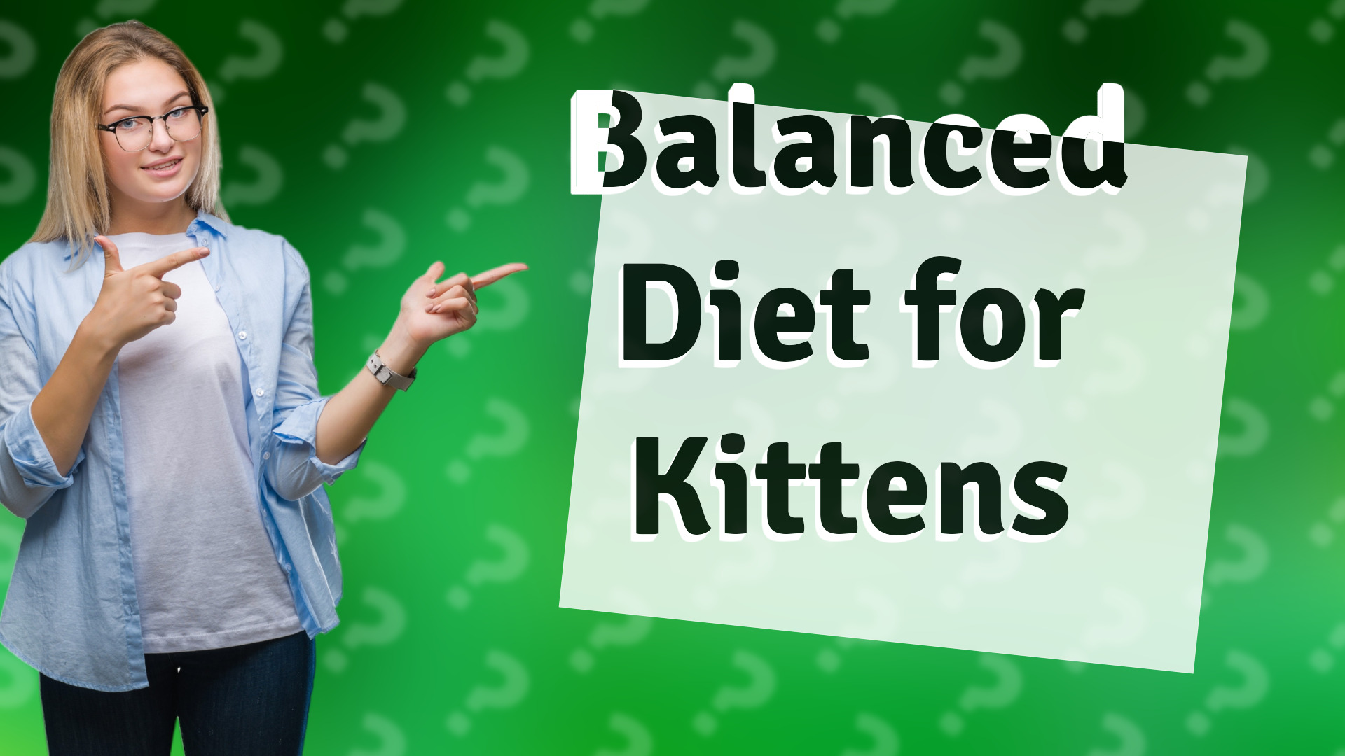 Balanced Diet for Kittens