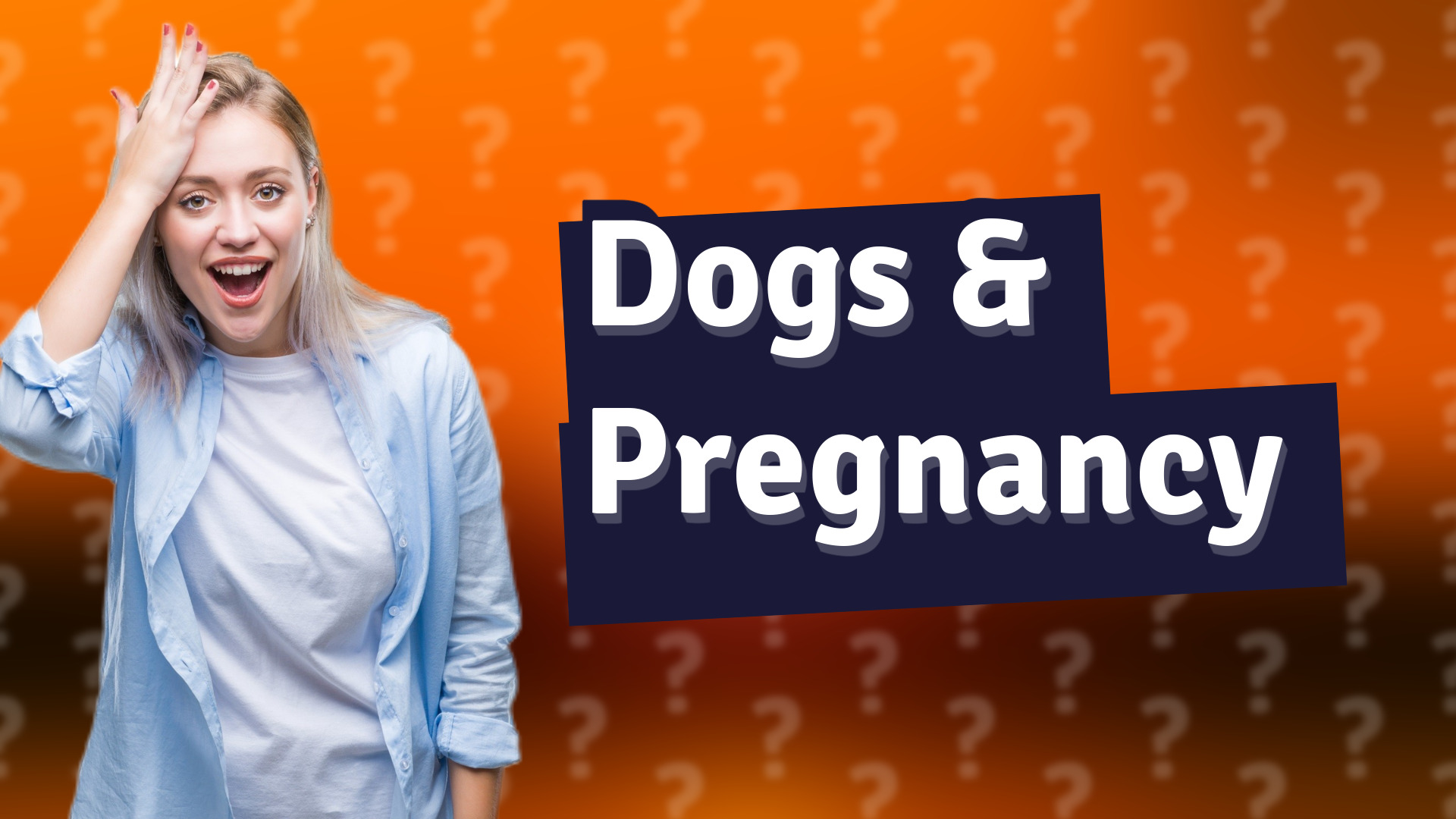 Dogs & Pregnancy