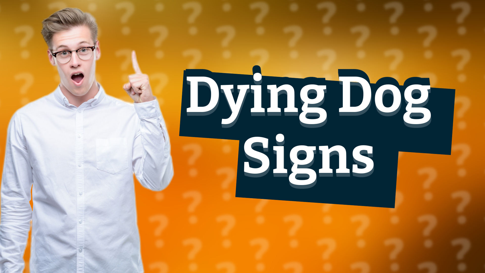 Dying Dog Signs