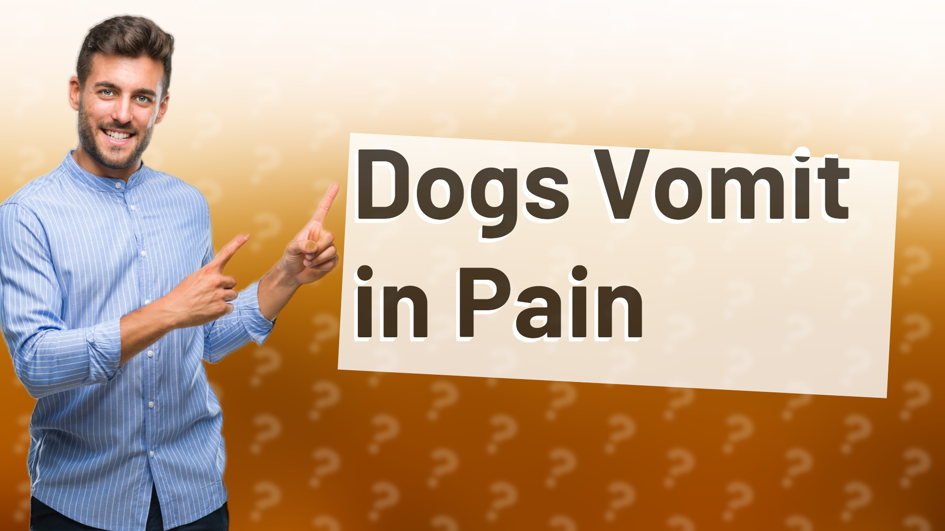 Dogs Vomit in Pain
