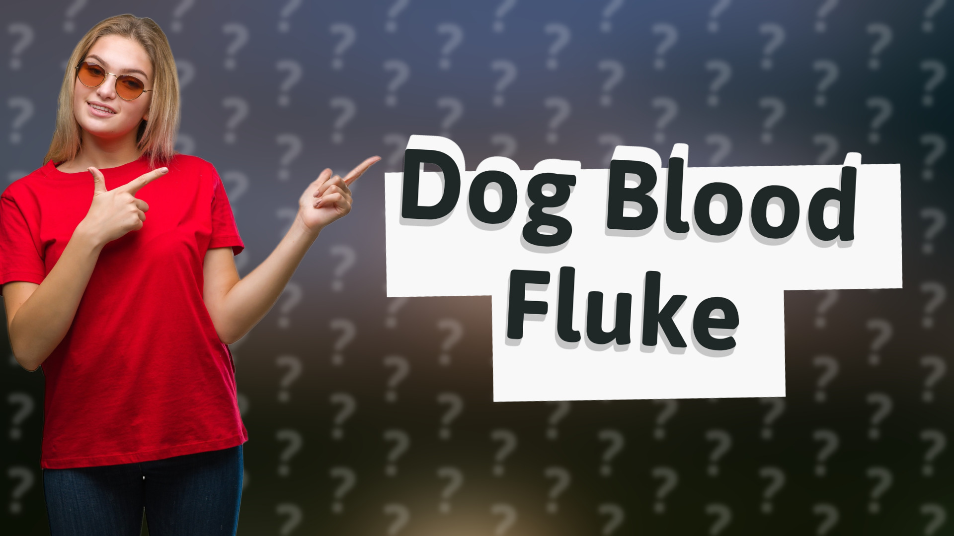Dog Blood Fluke