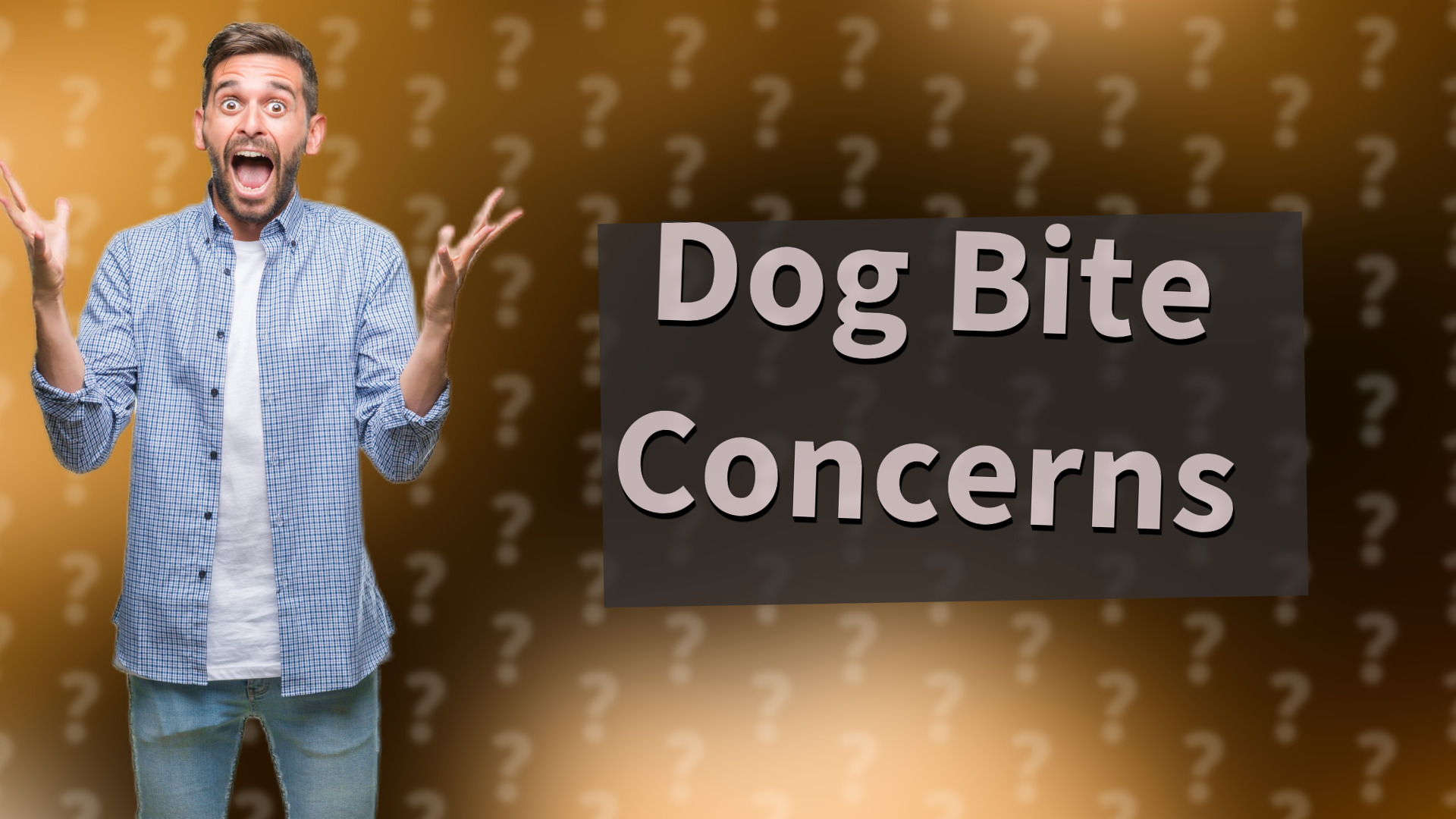 Dog Bite Concerns