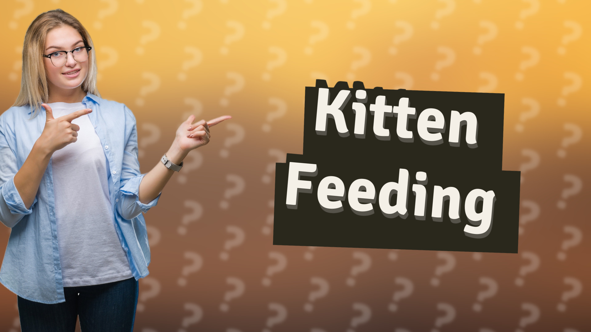 Kitten Feeding