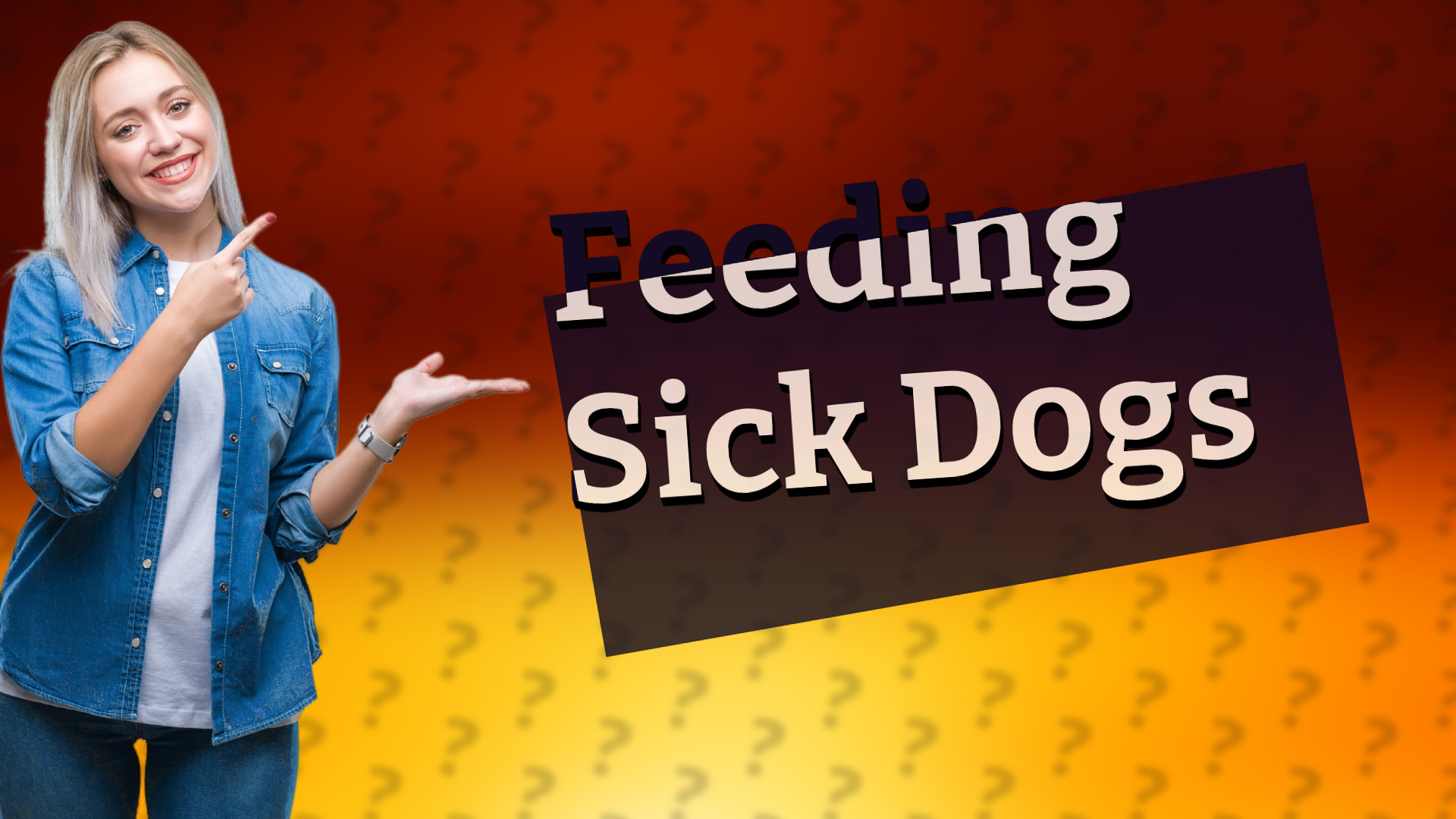Feeding Sick Dogs