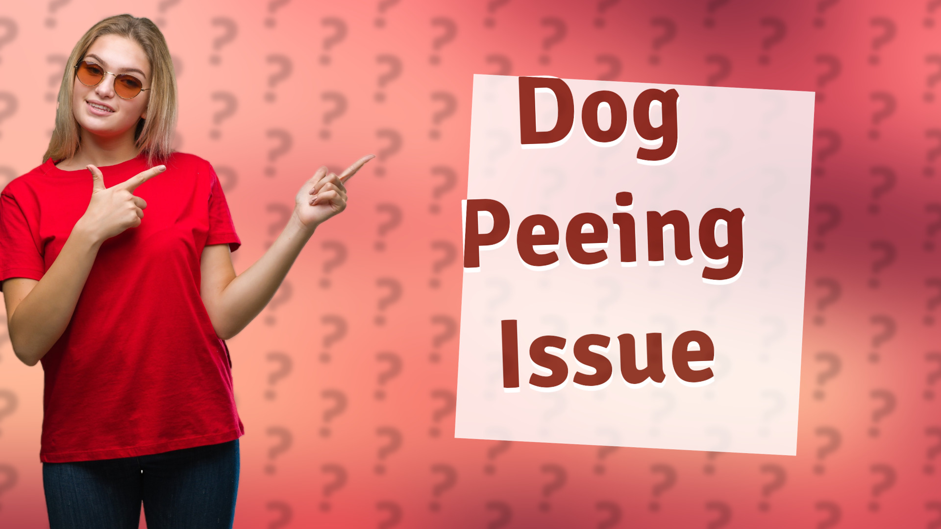 Dog Peeing Issue