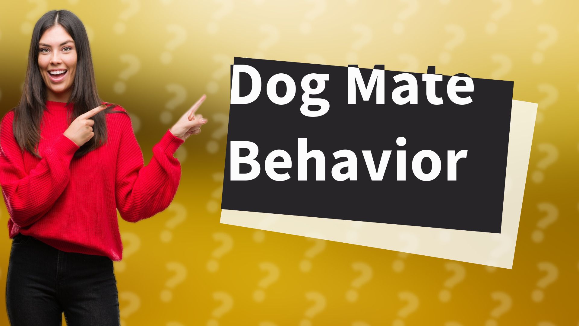 Dog Mate Behavior