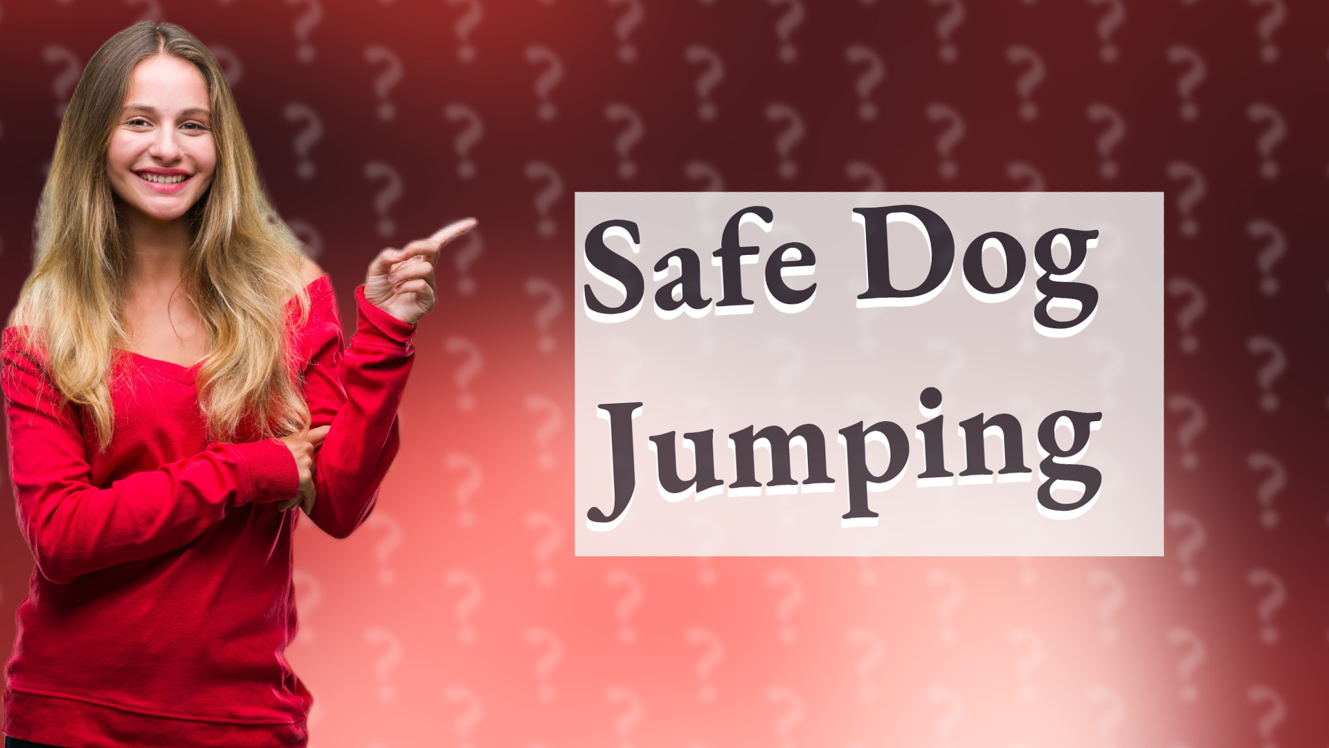 Safe Dog Jumping