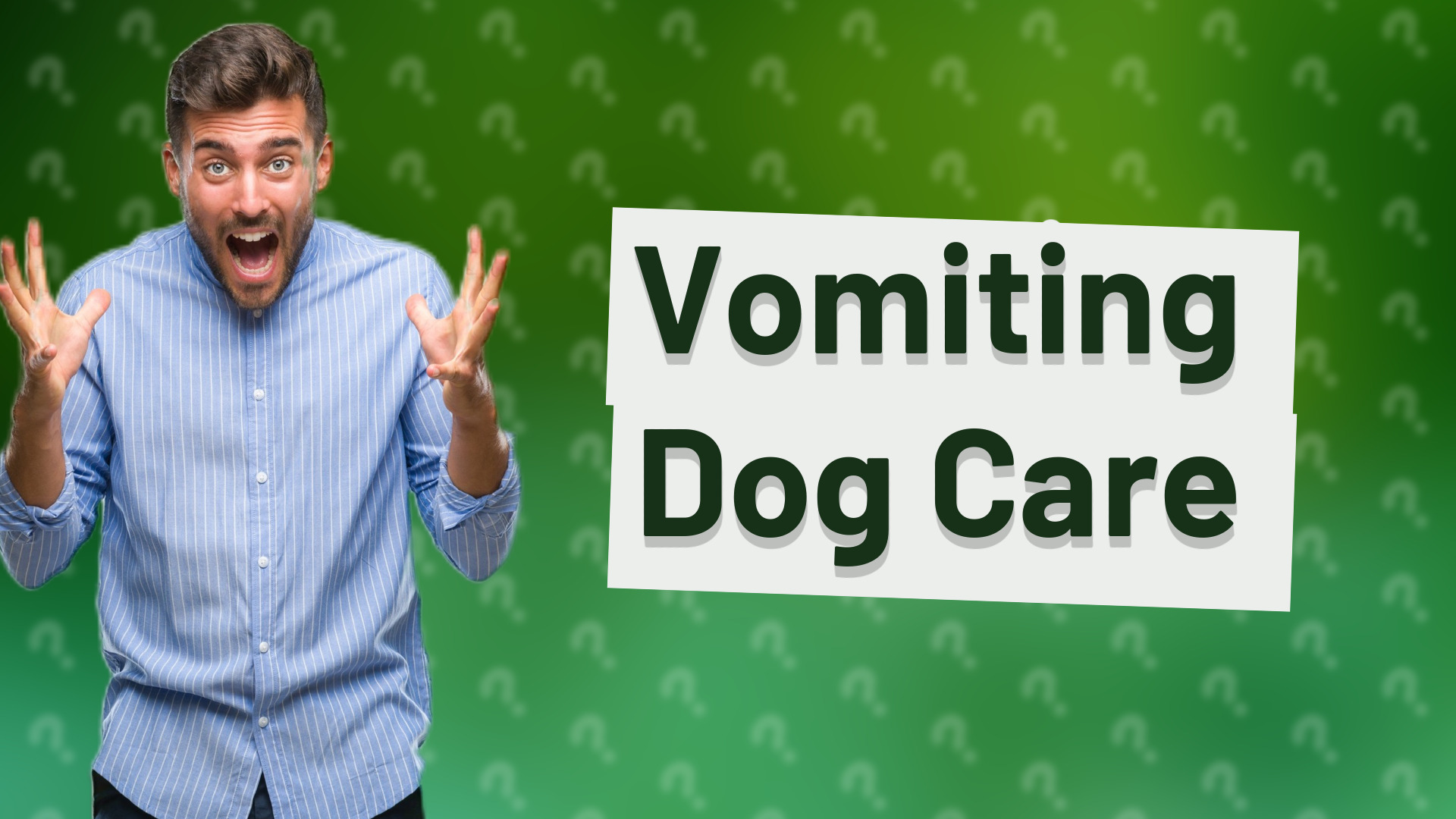 Vomiting Dog Care