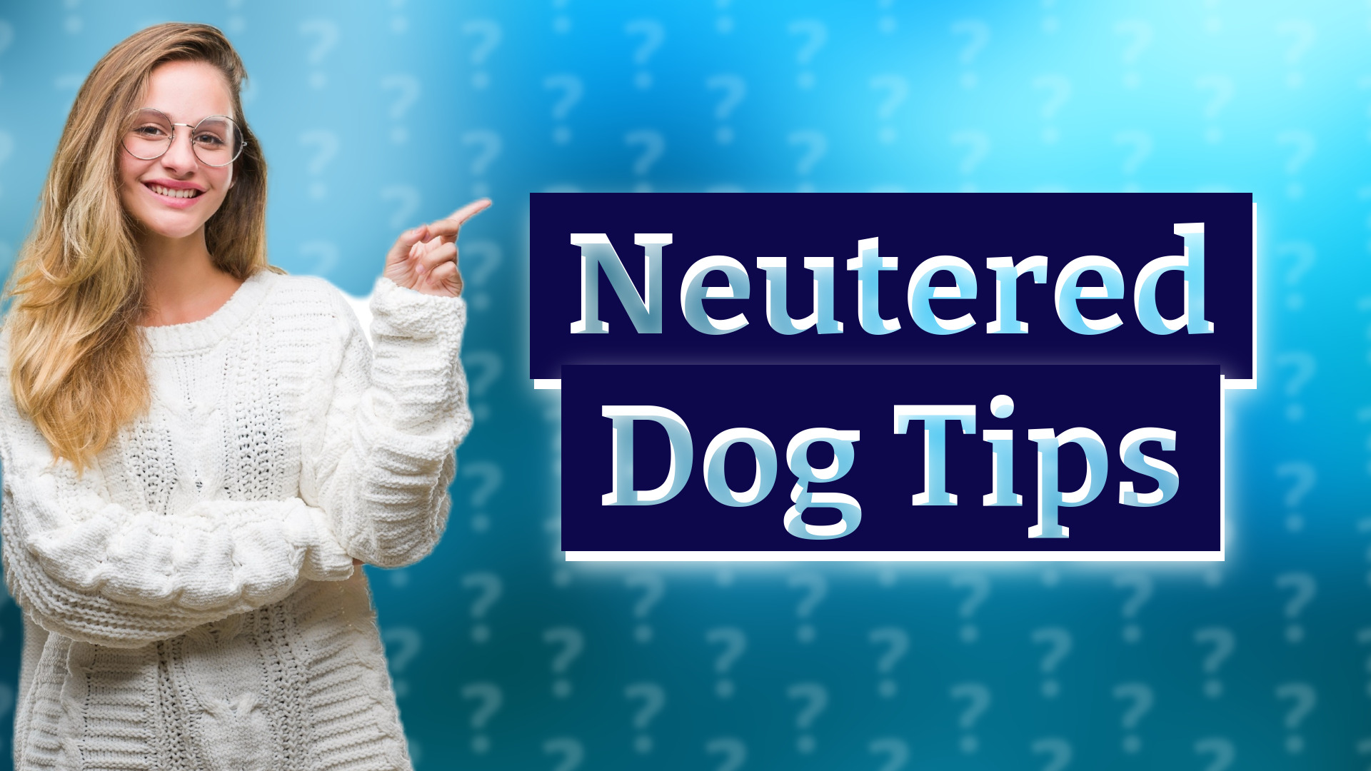 Neutered Dog Tips