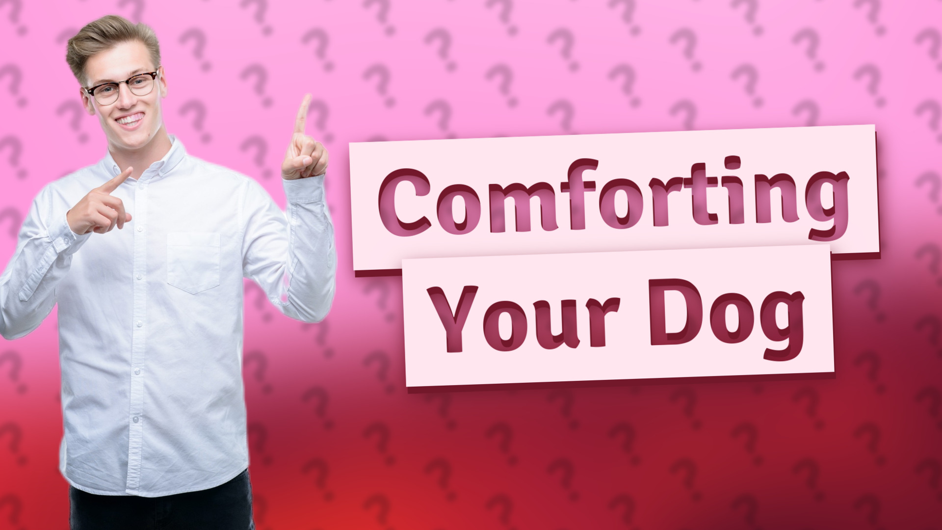 Comforting Your Dog