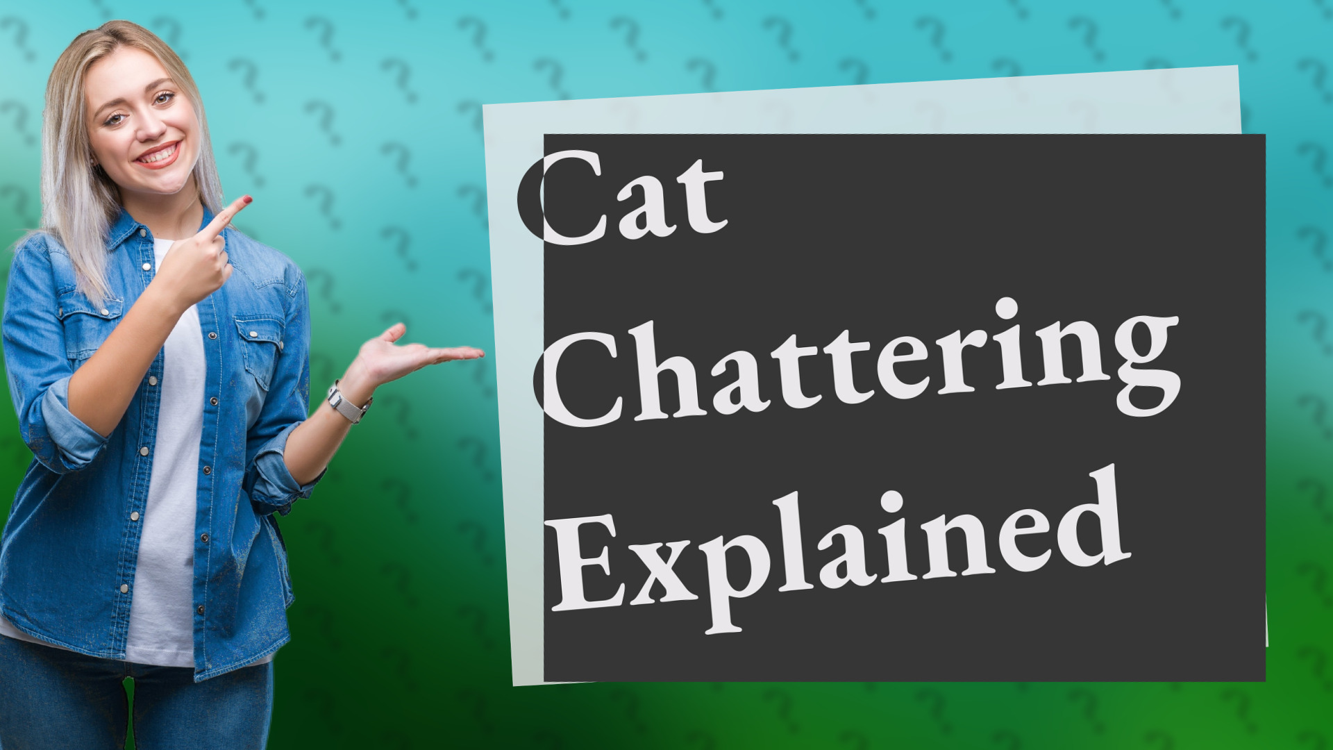 Cat Chattering Explained