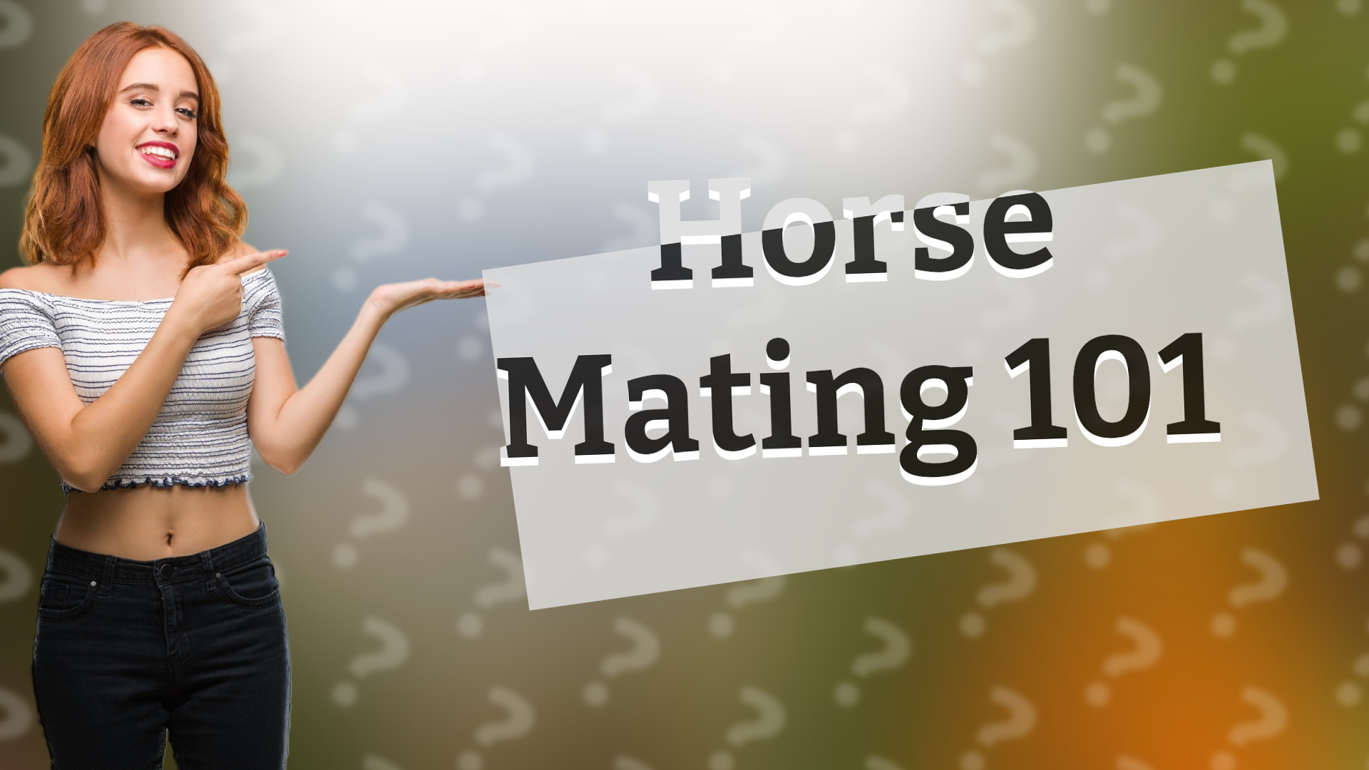 Horse Mating 101