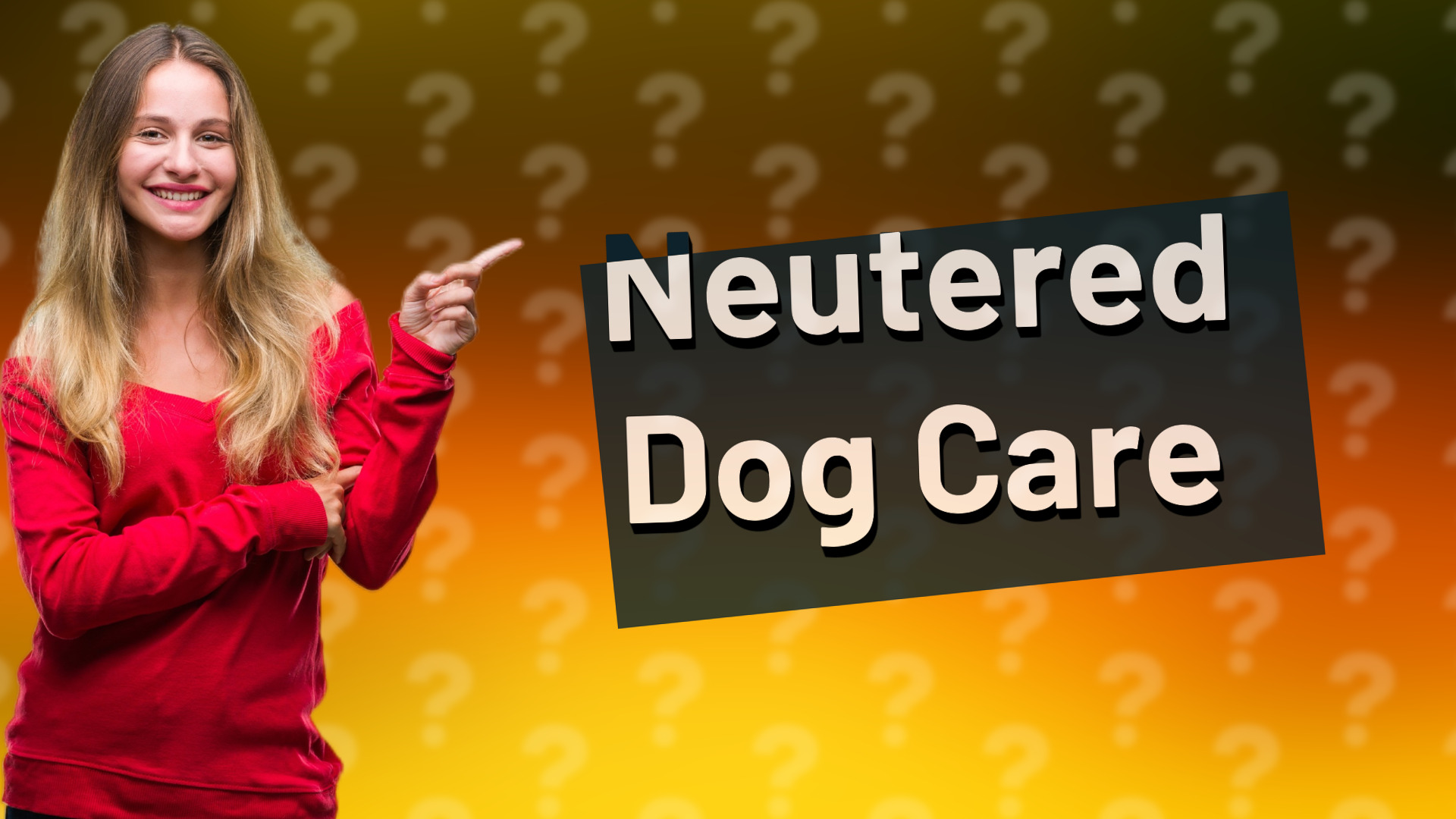 Neutered Dog Care